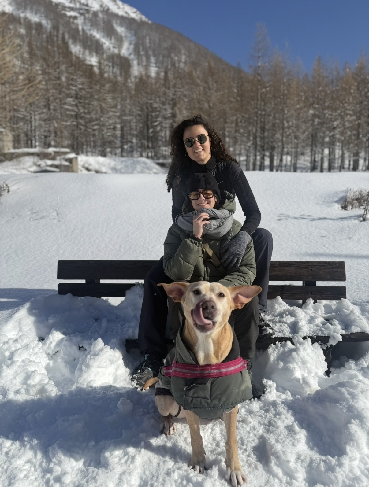 image-12