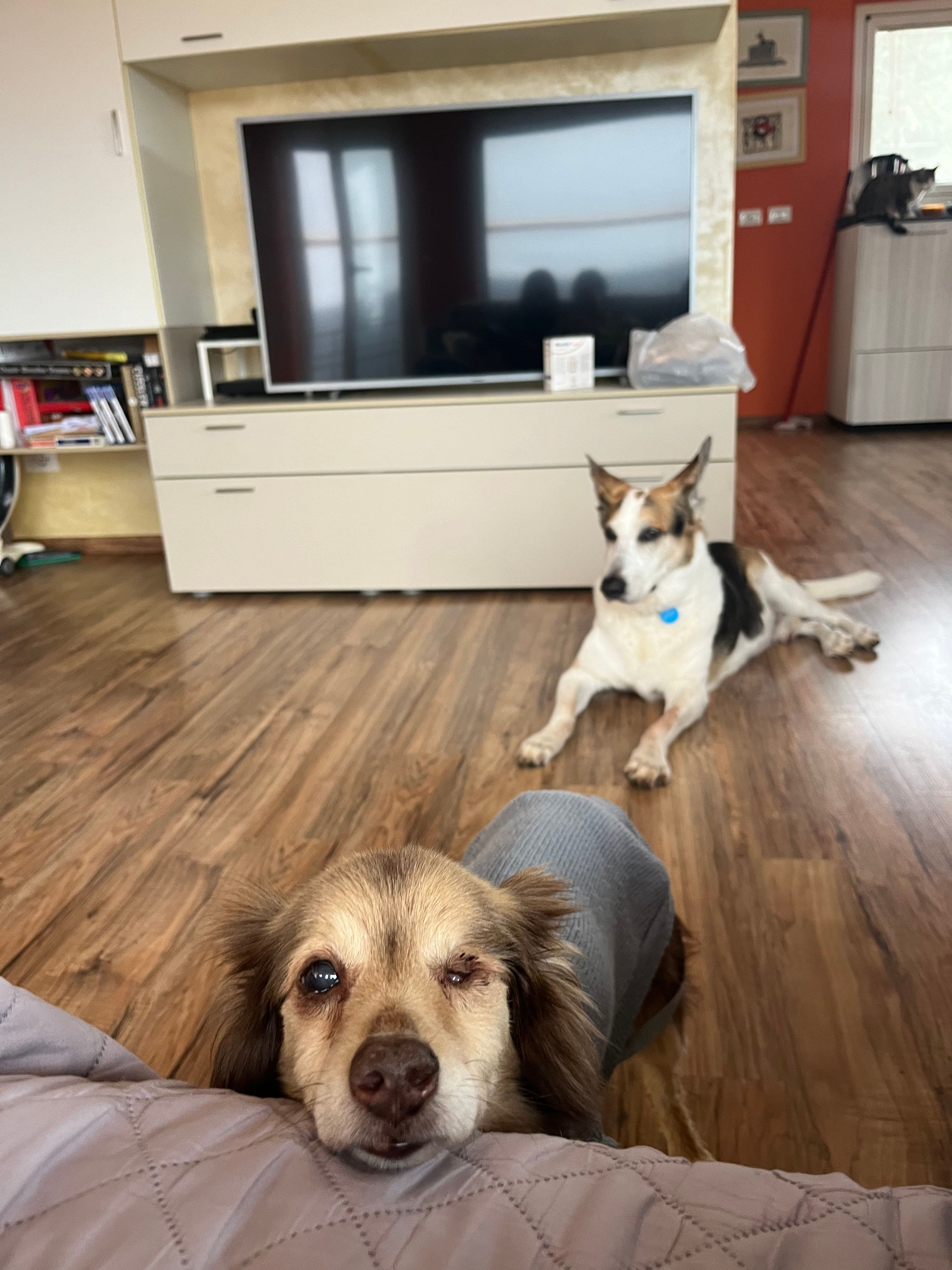 image-9