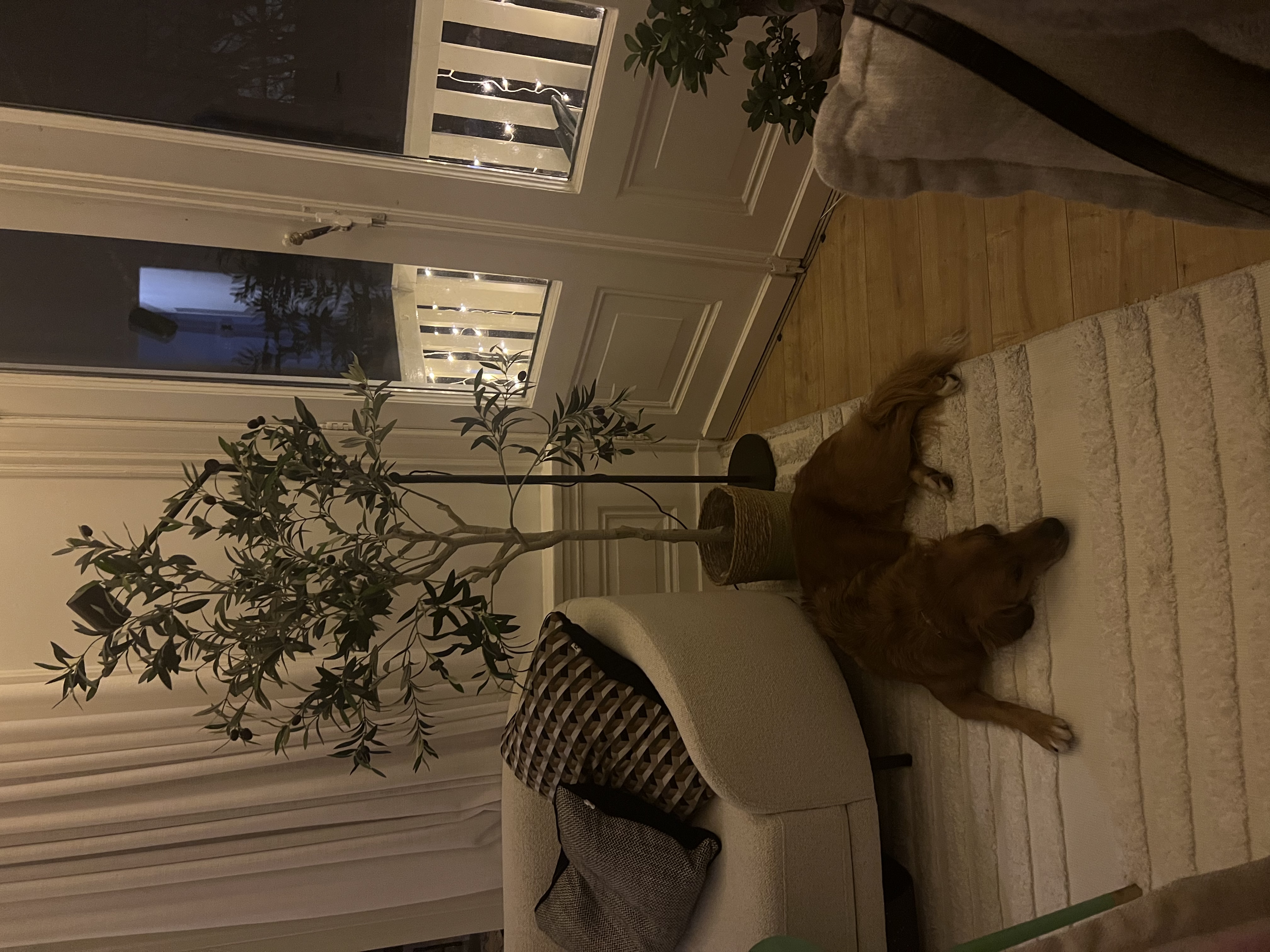 image-8