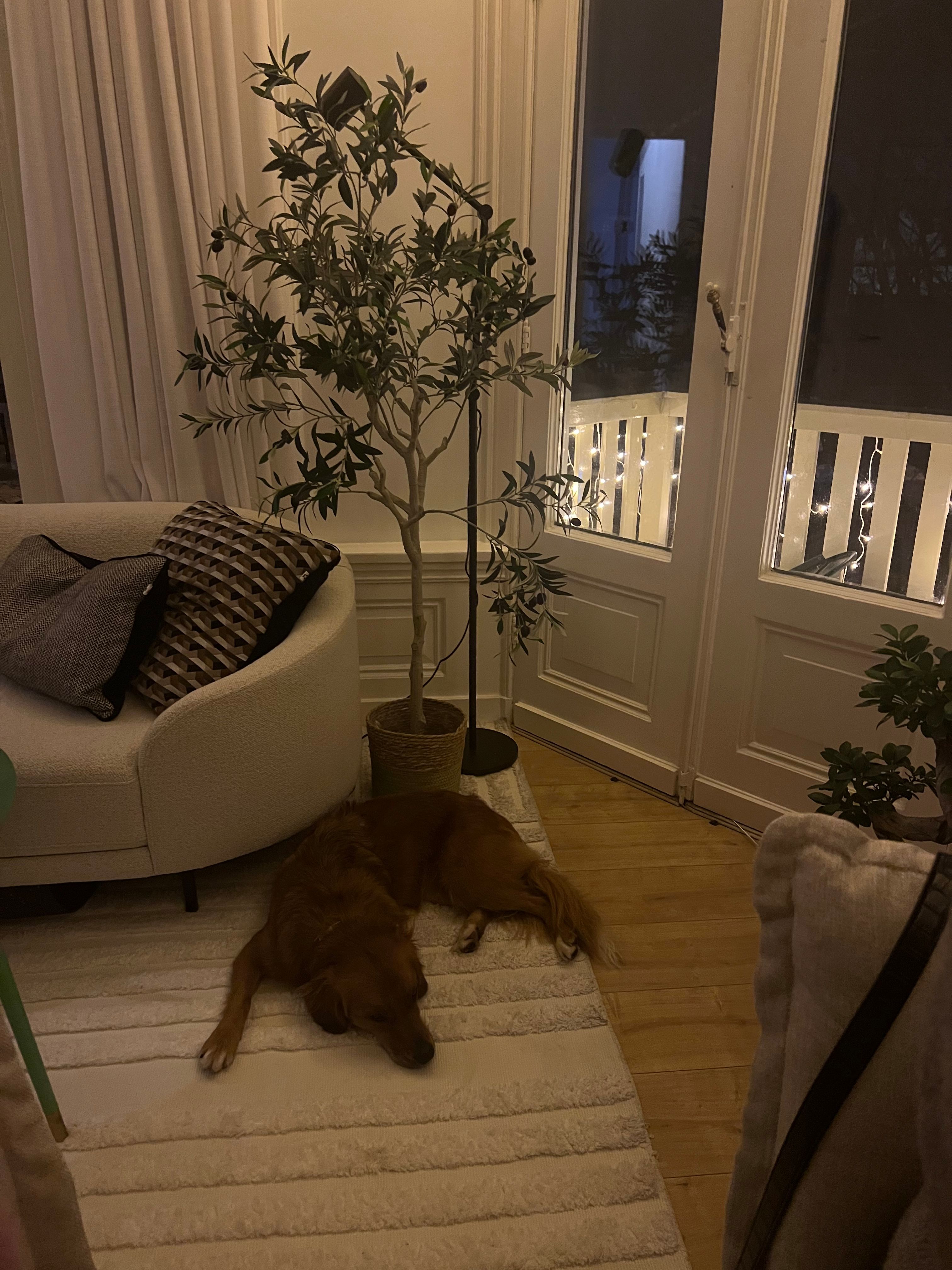 image-8