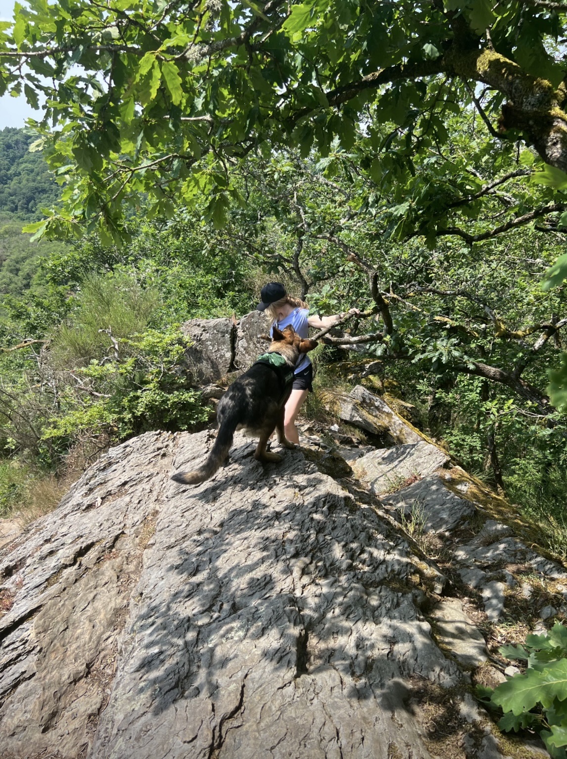 image-5