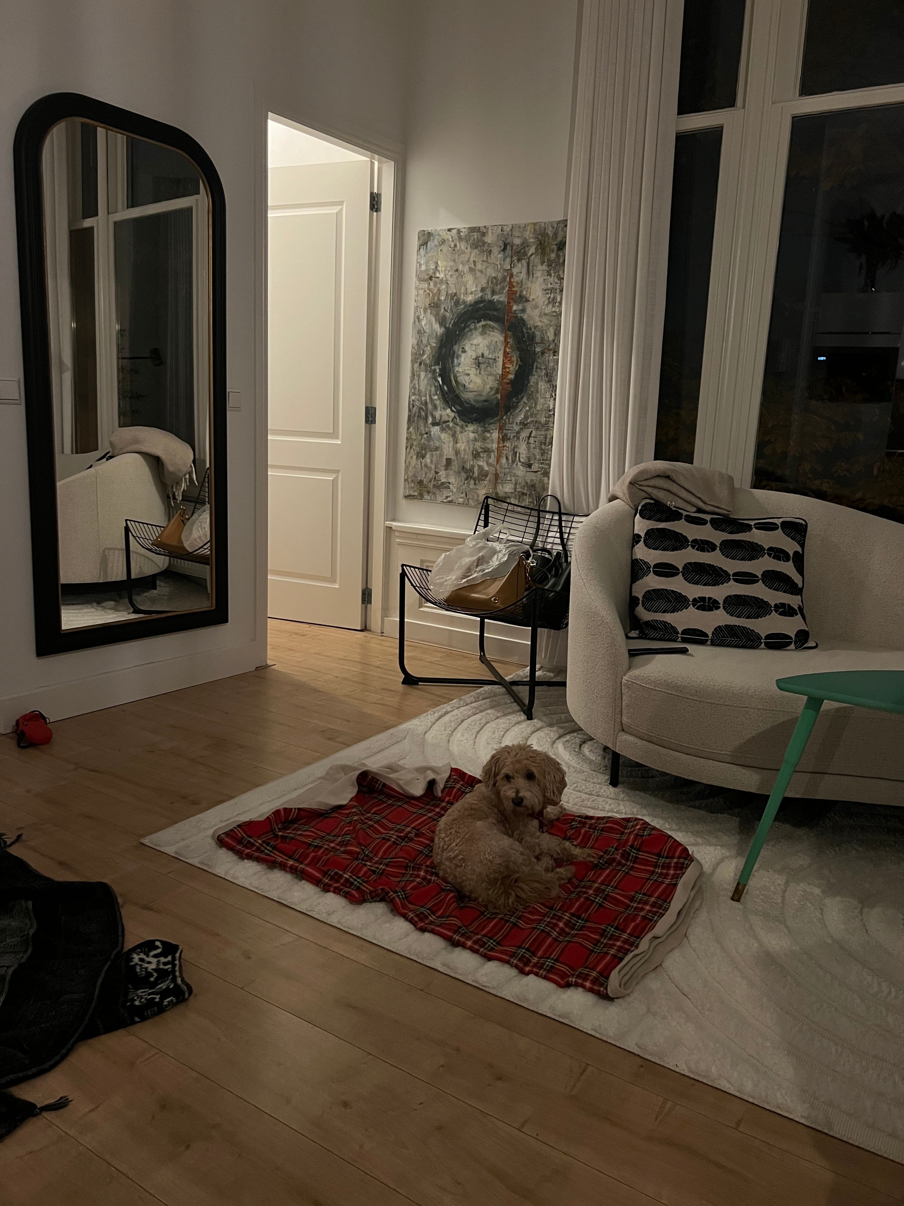 image-7