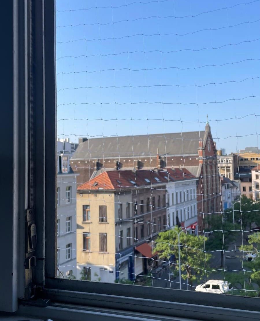 image-6
