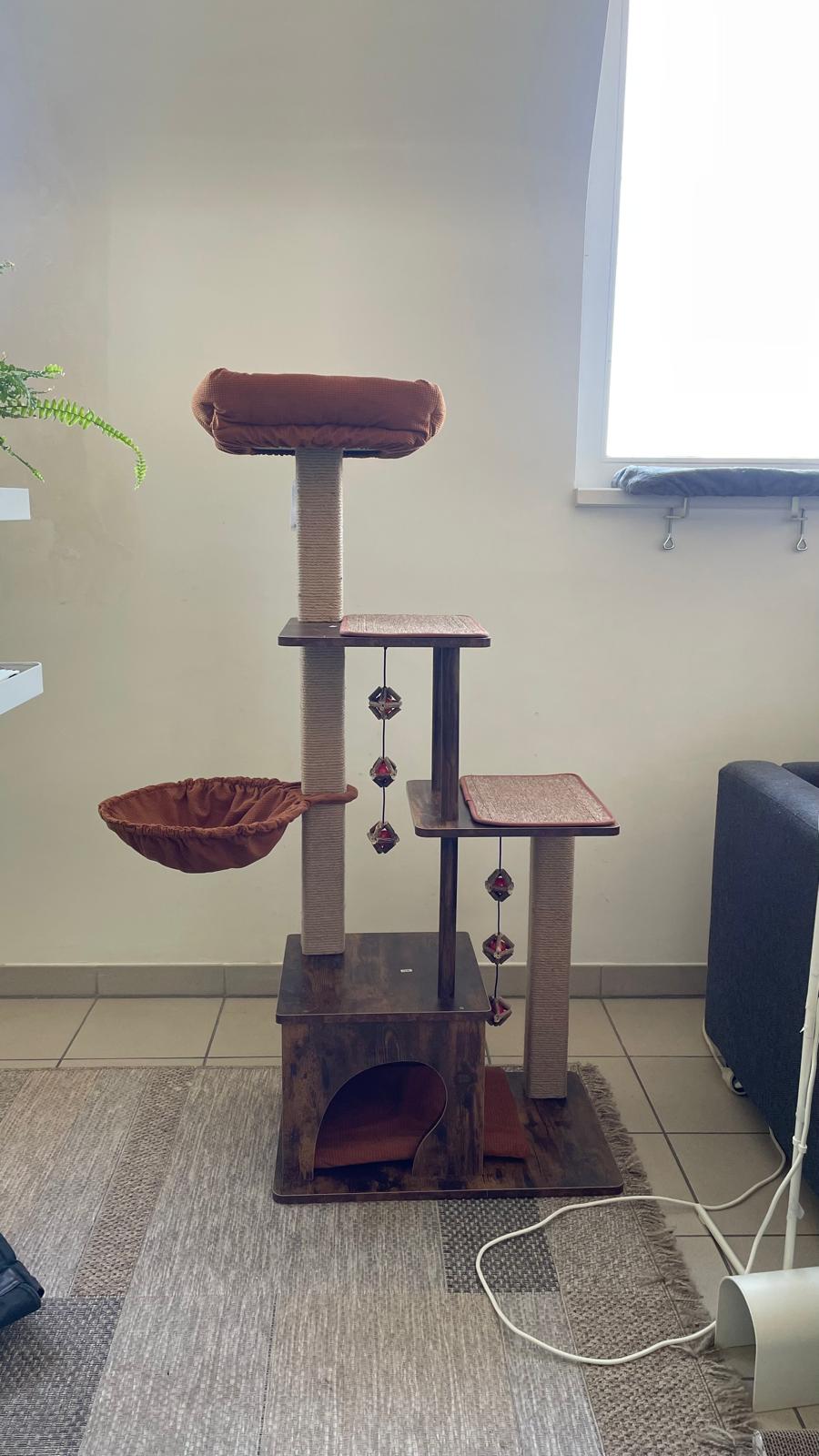 image-8