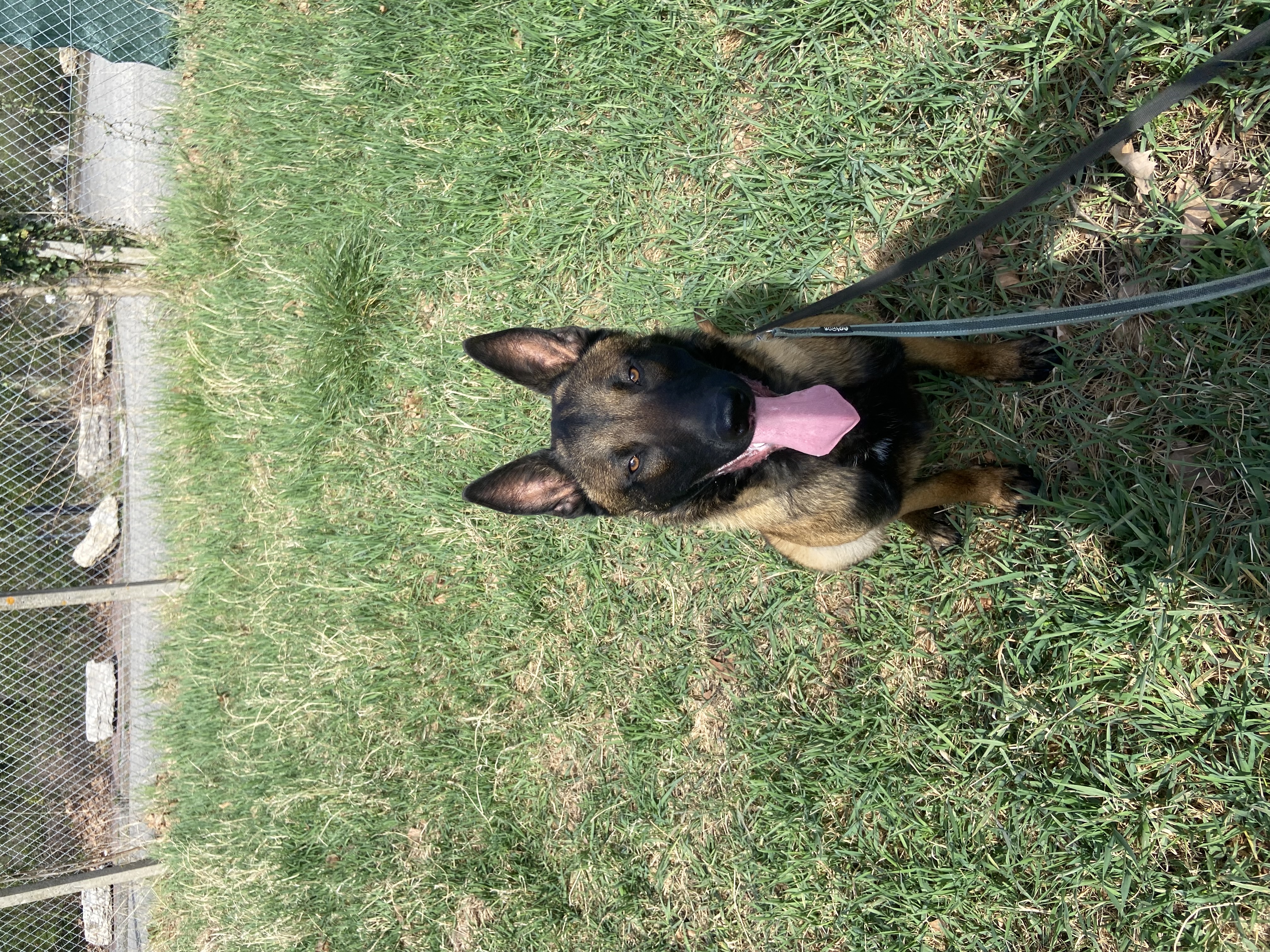 image-3