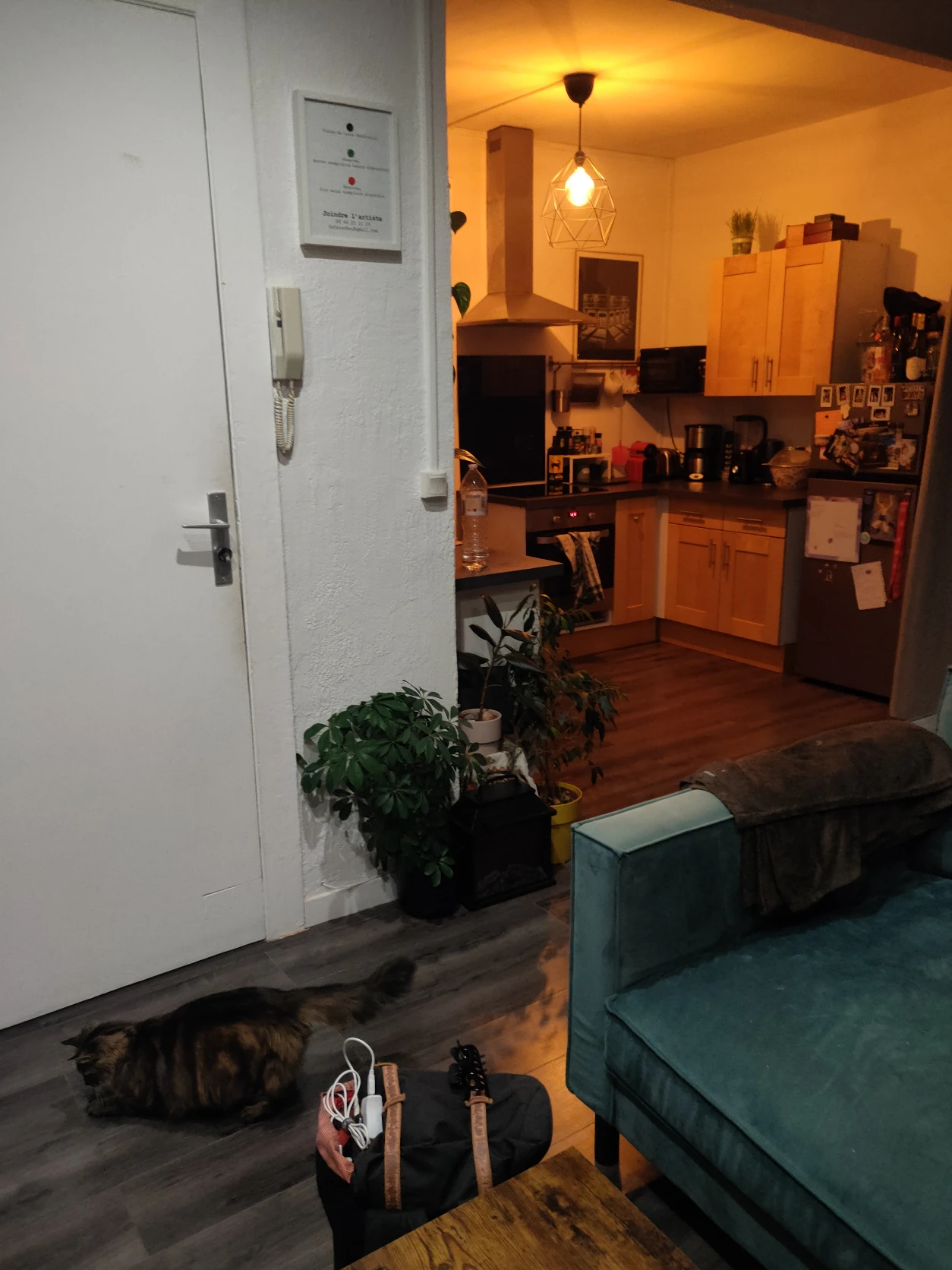 image-11