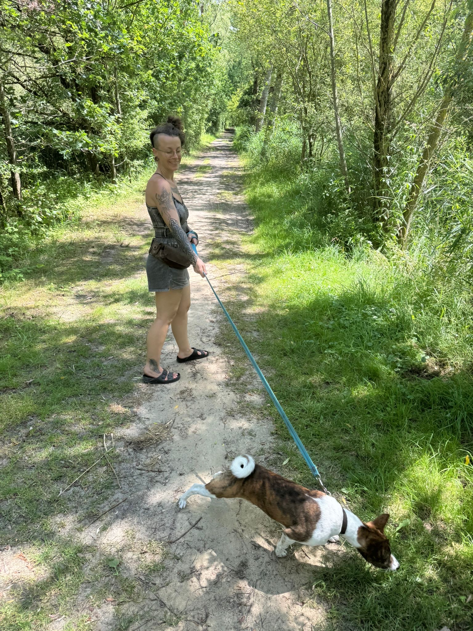 image-6