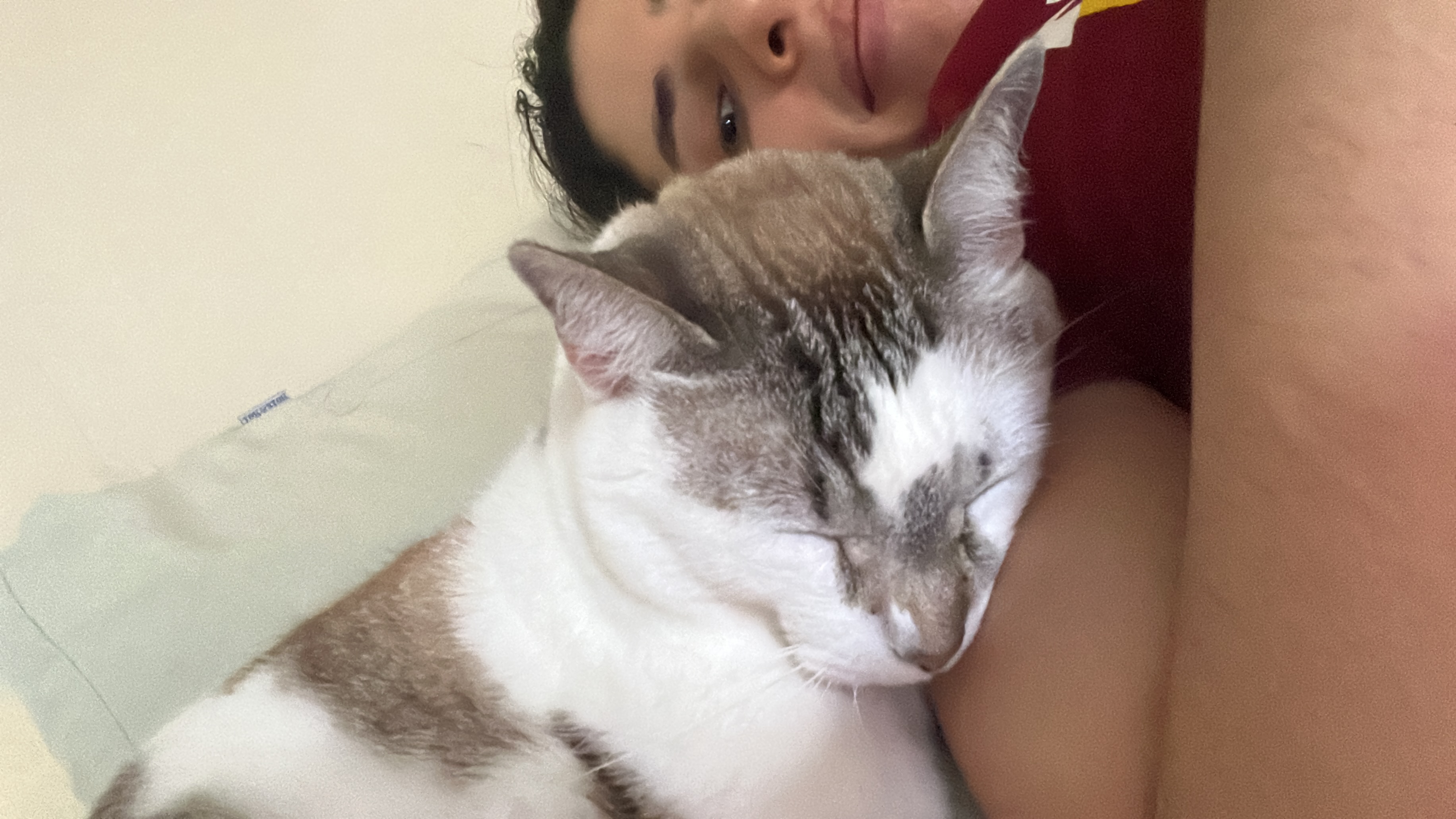 image-7