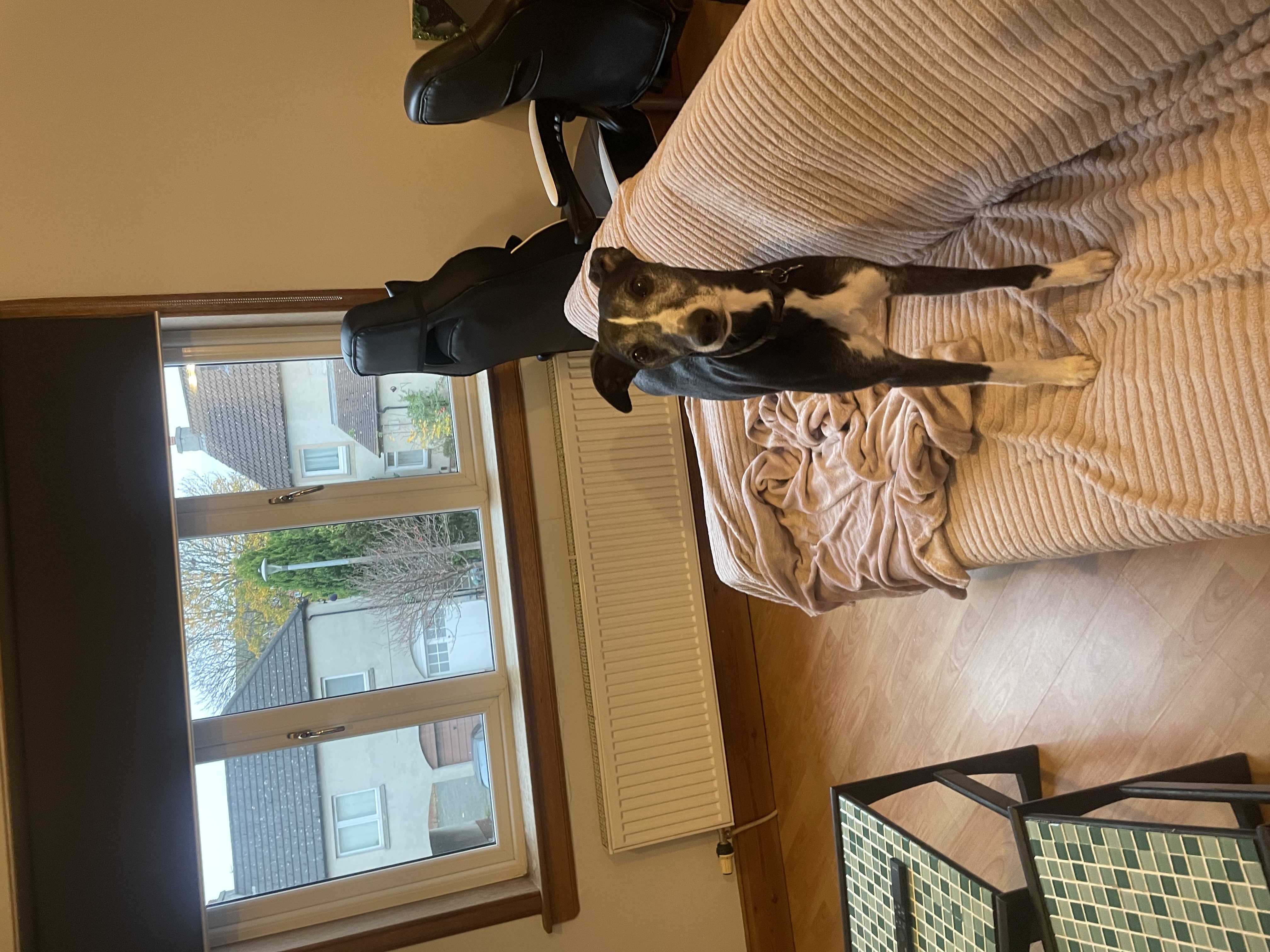 image-18