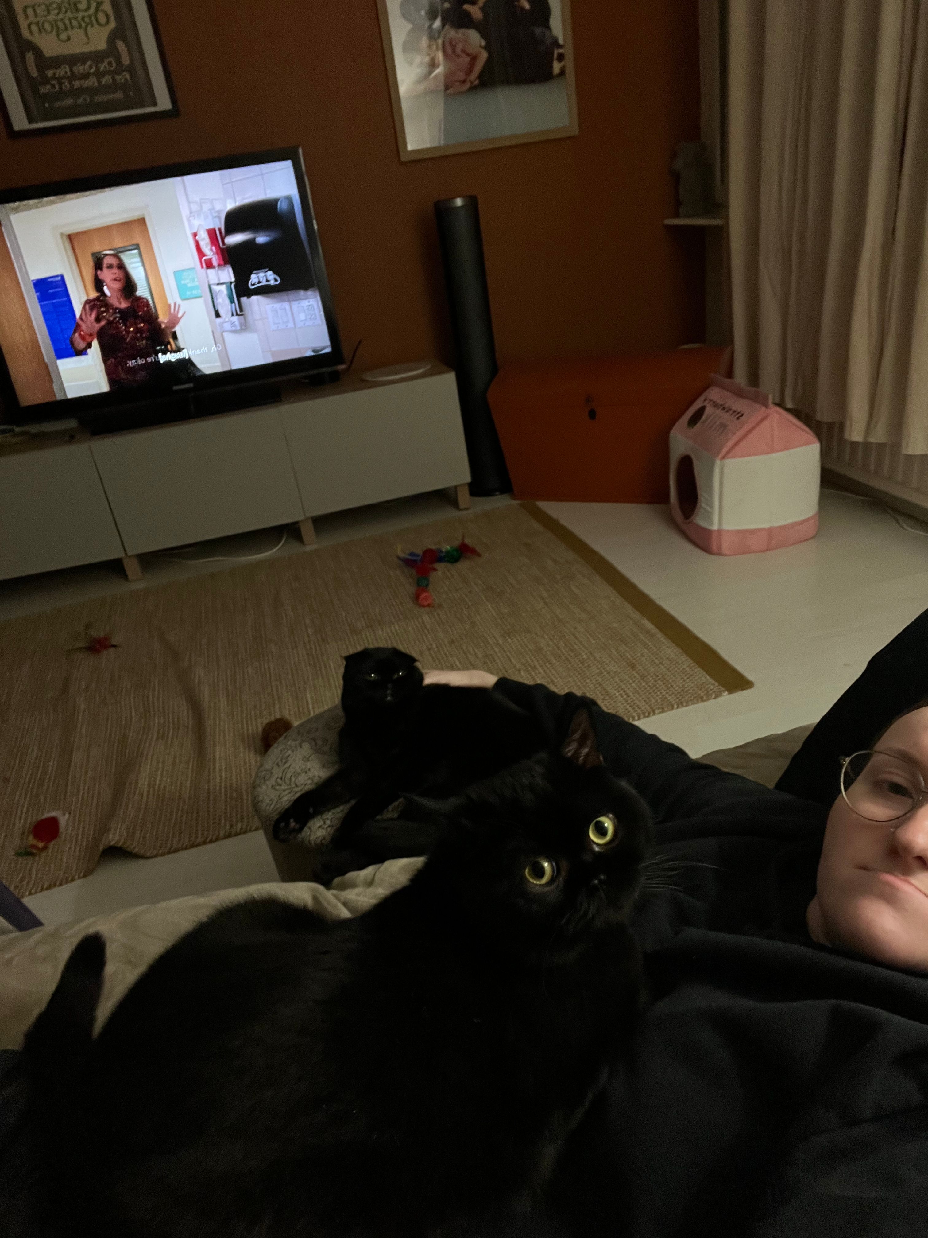 image-8