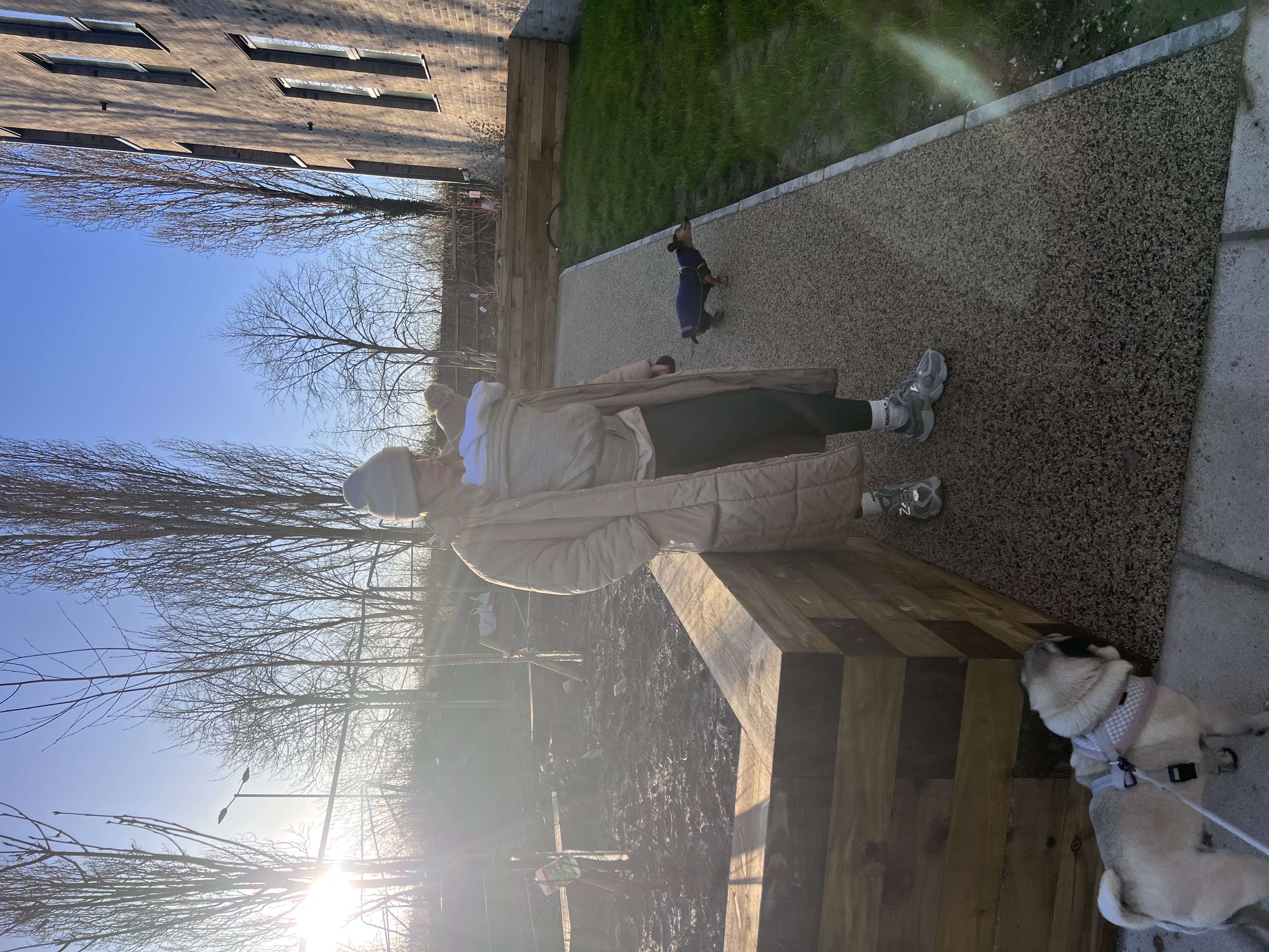 image-4