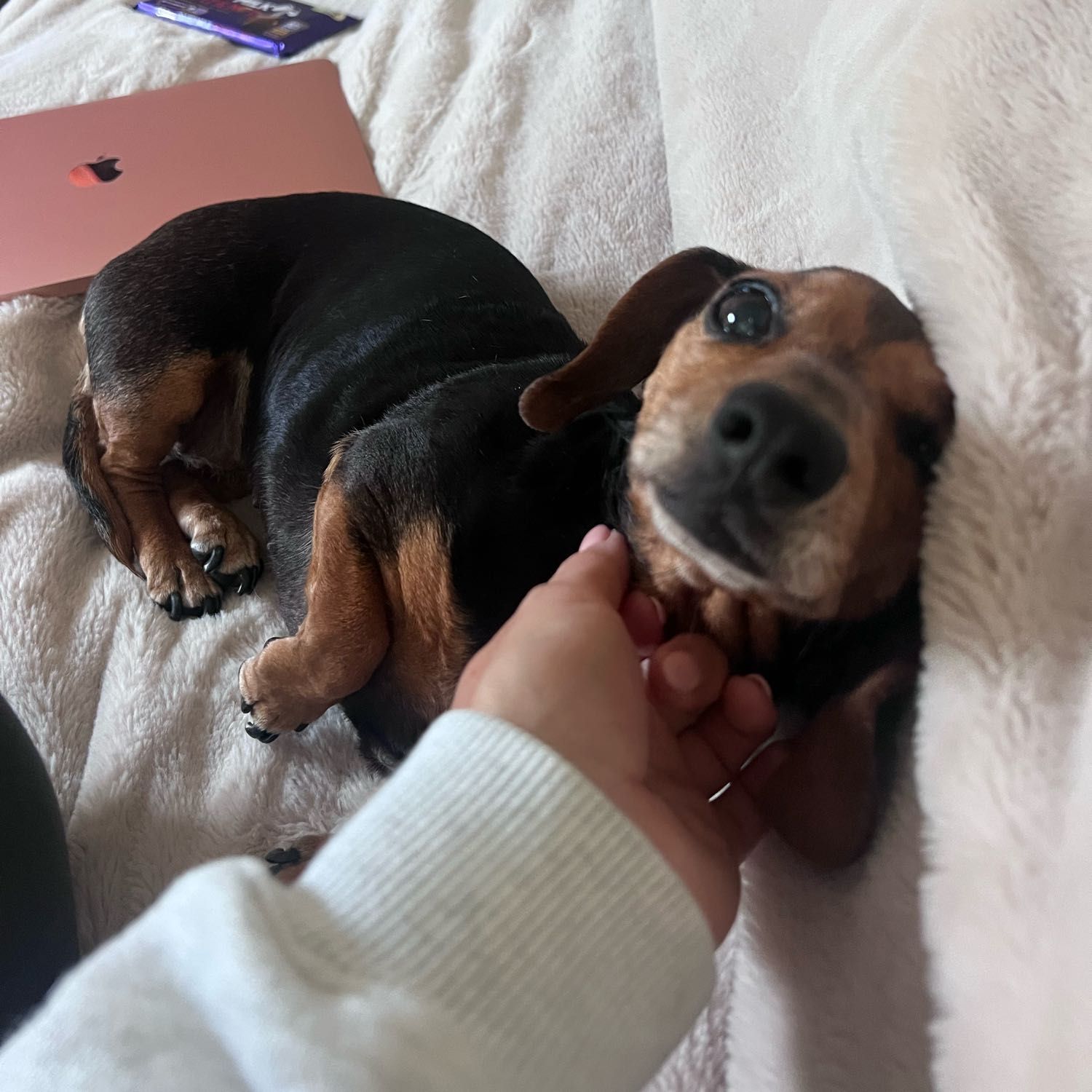 Winnie