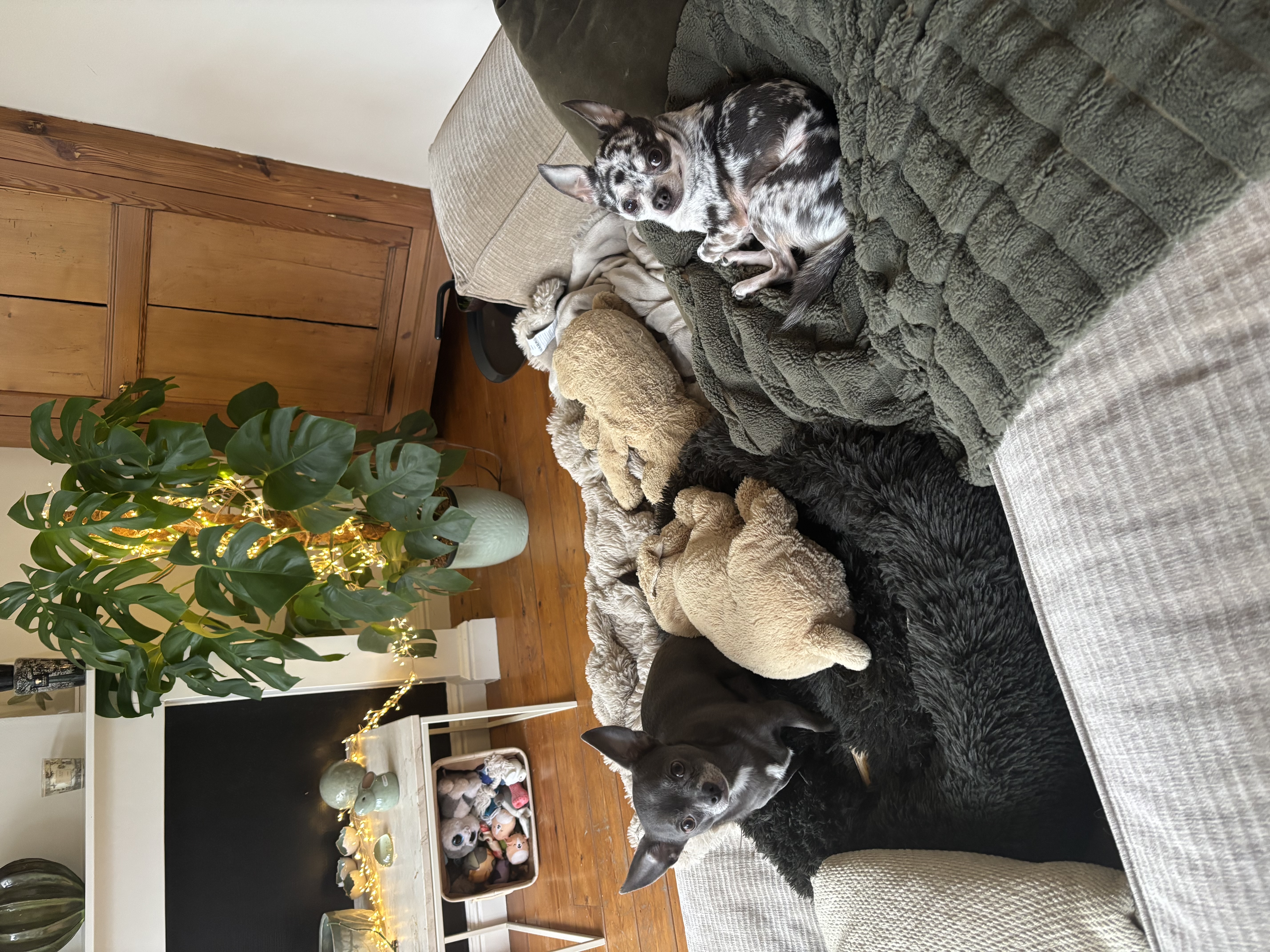 image-12