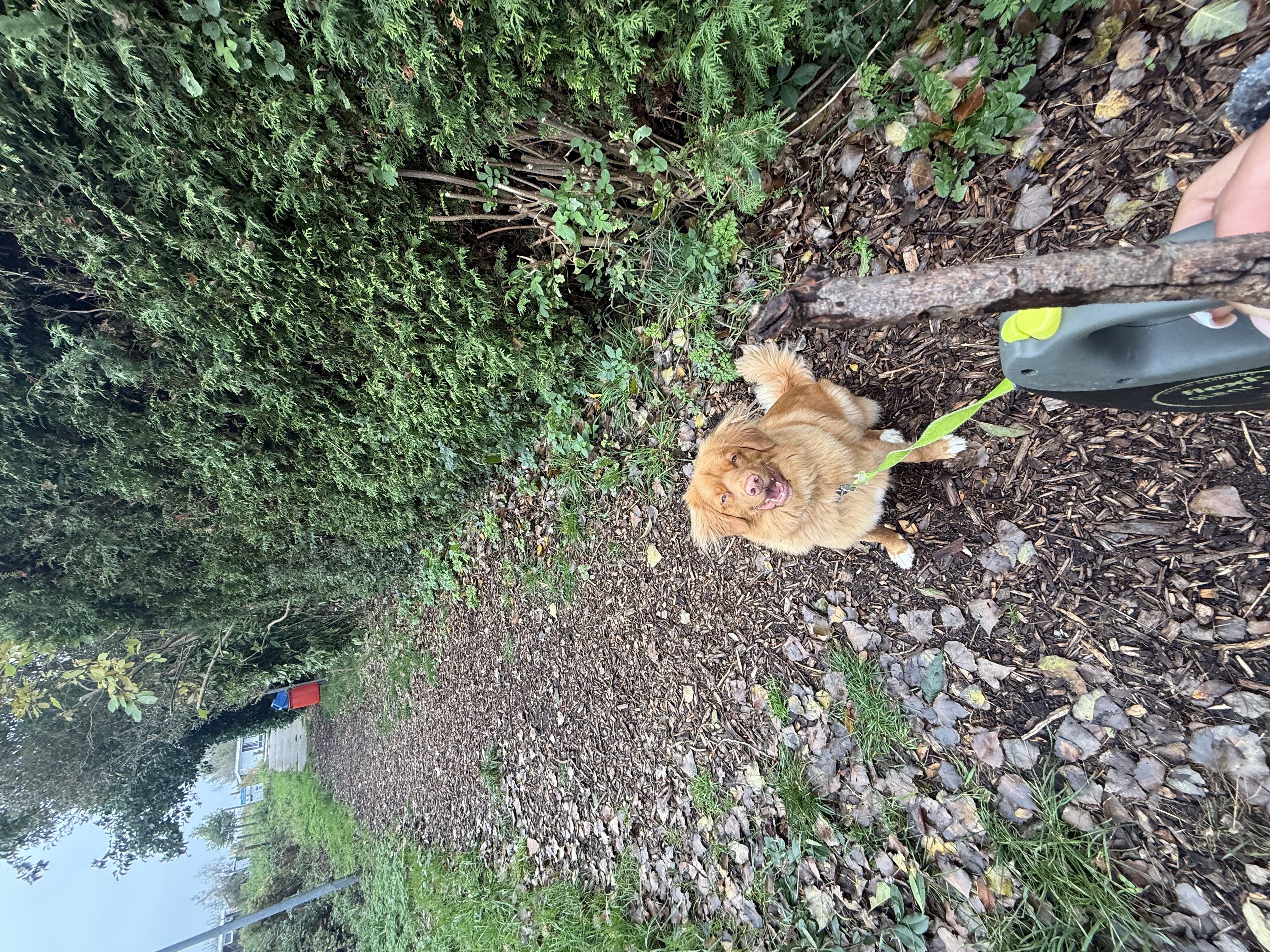 image-15