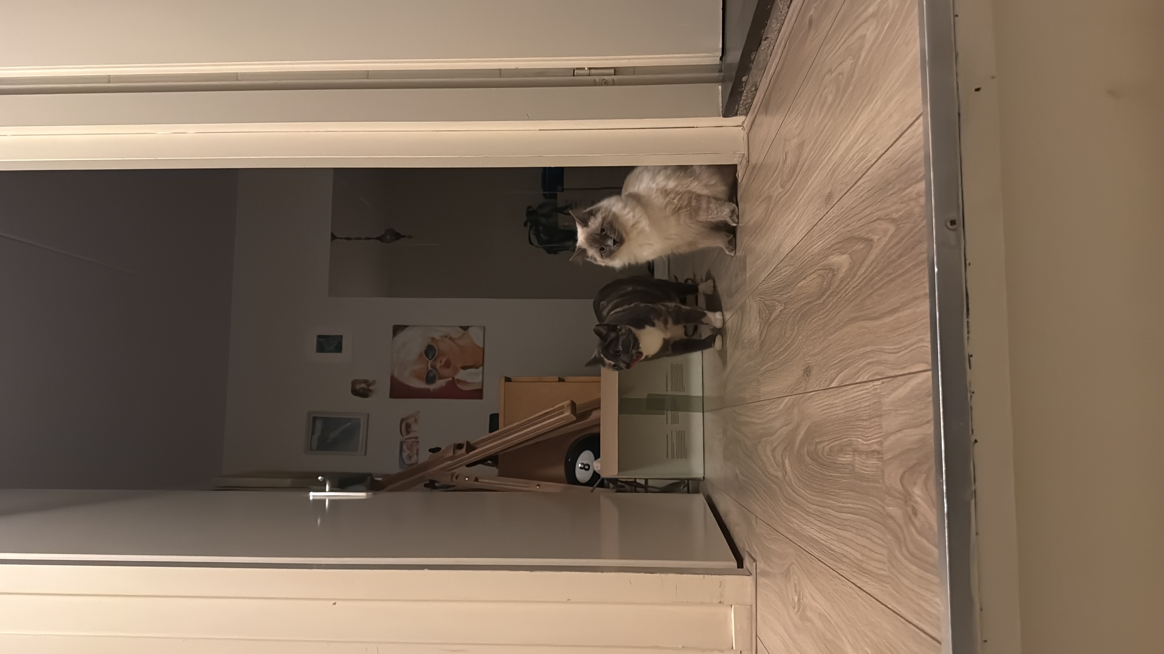 image-13