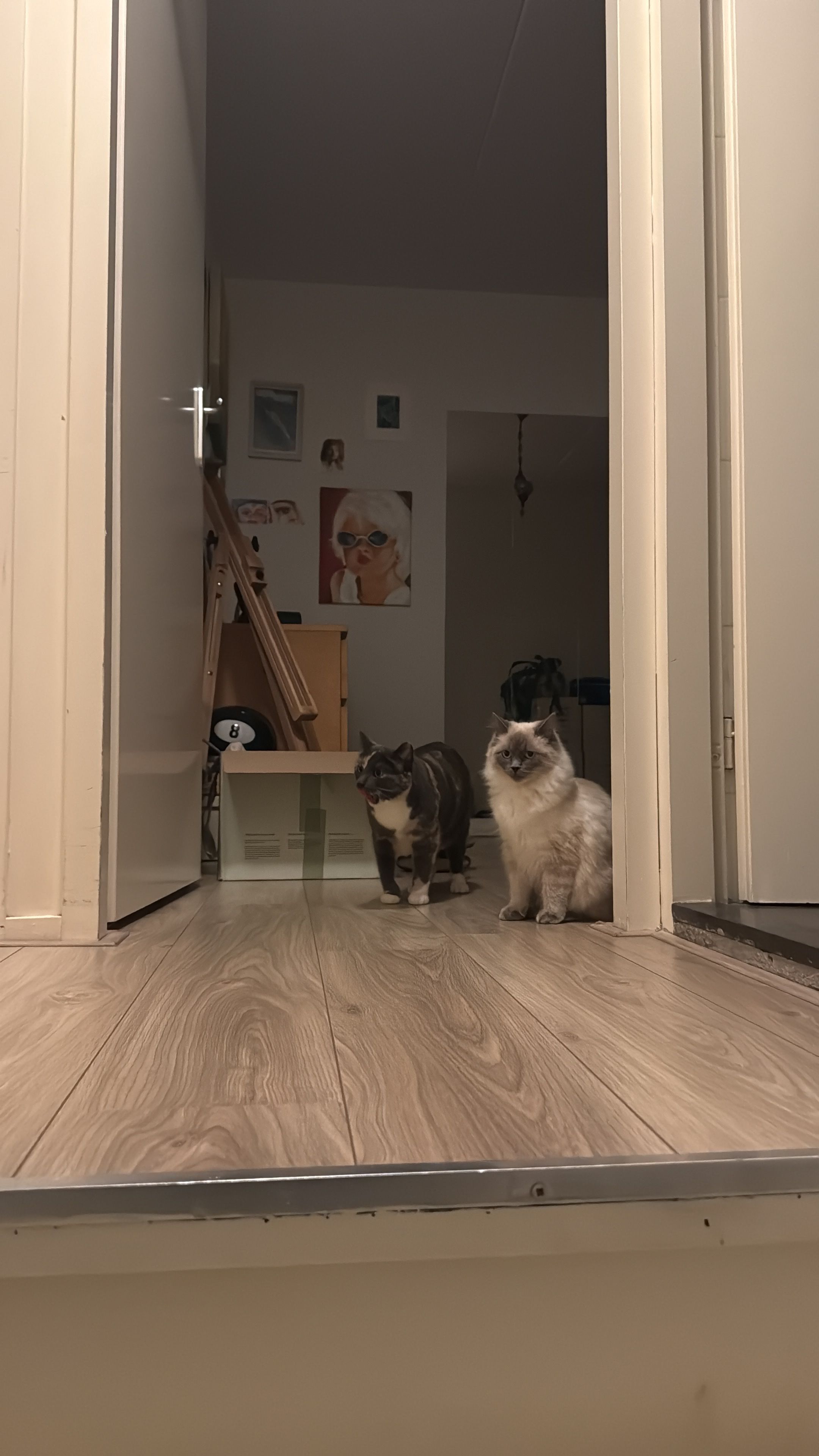 image-13