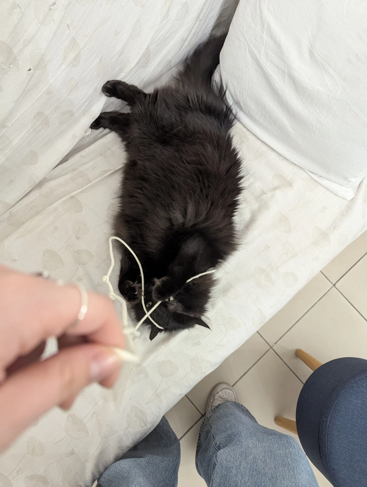 image-10