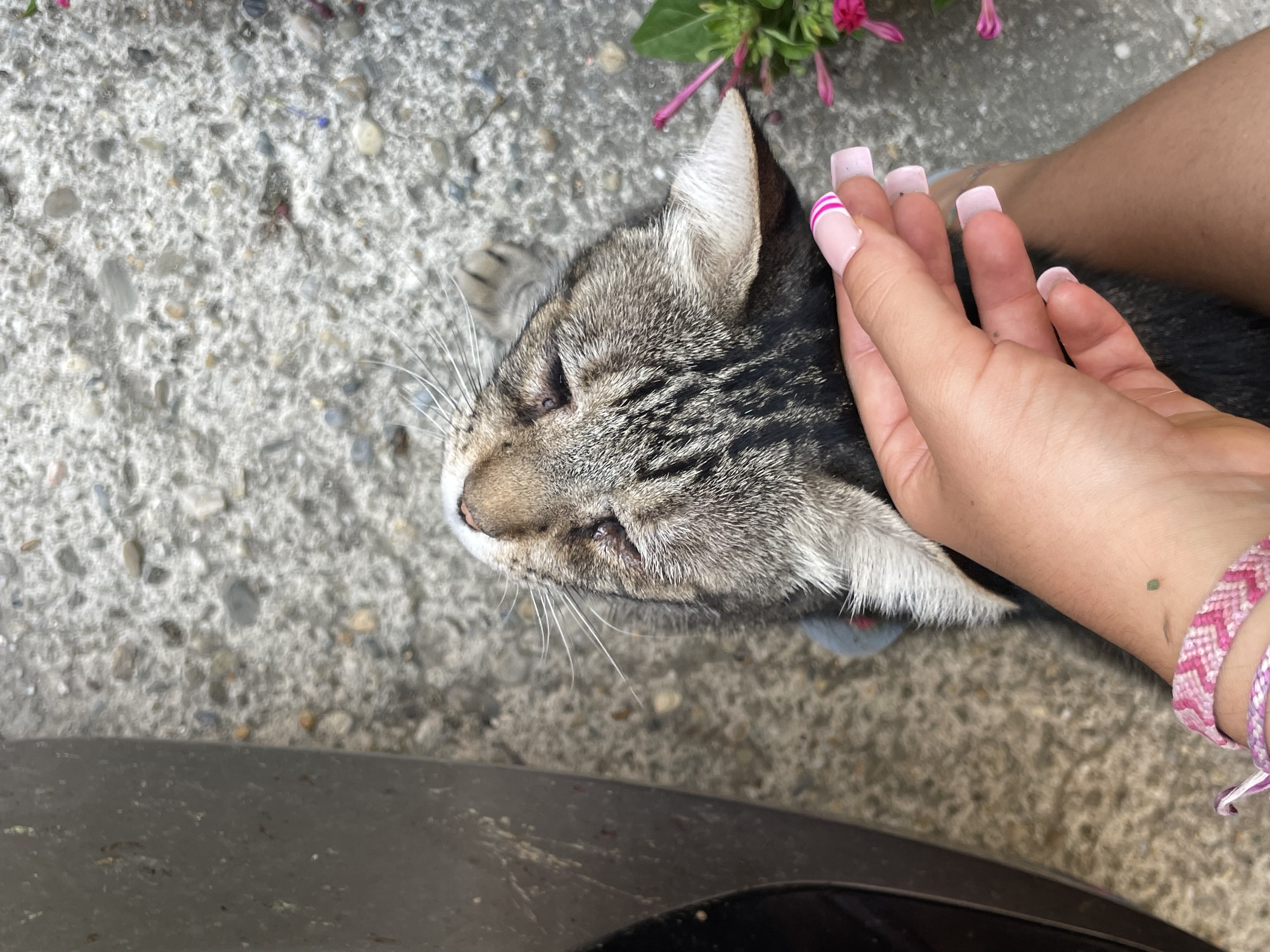 image-7