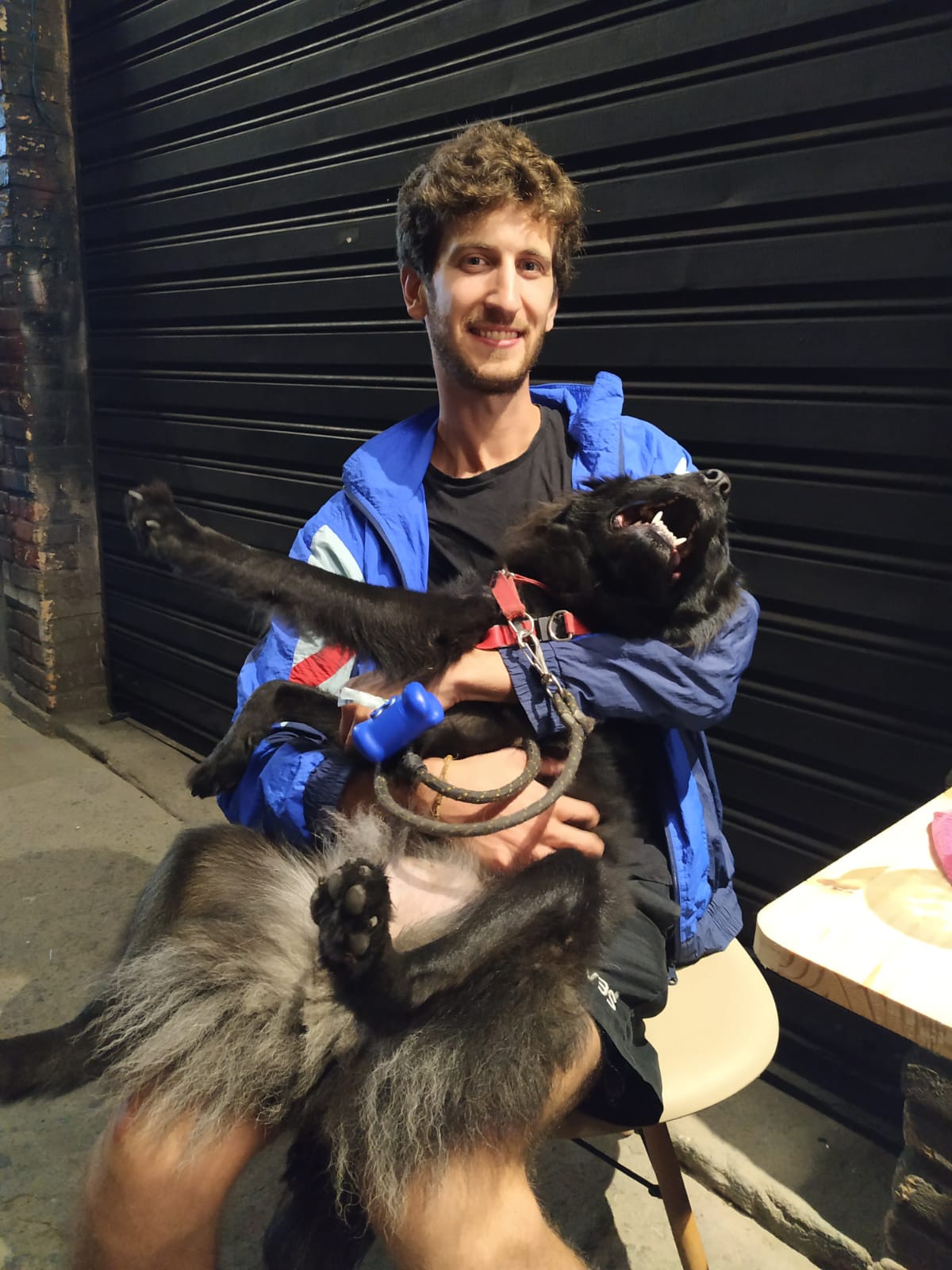 image-8