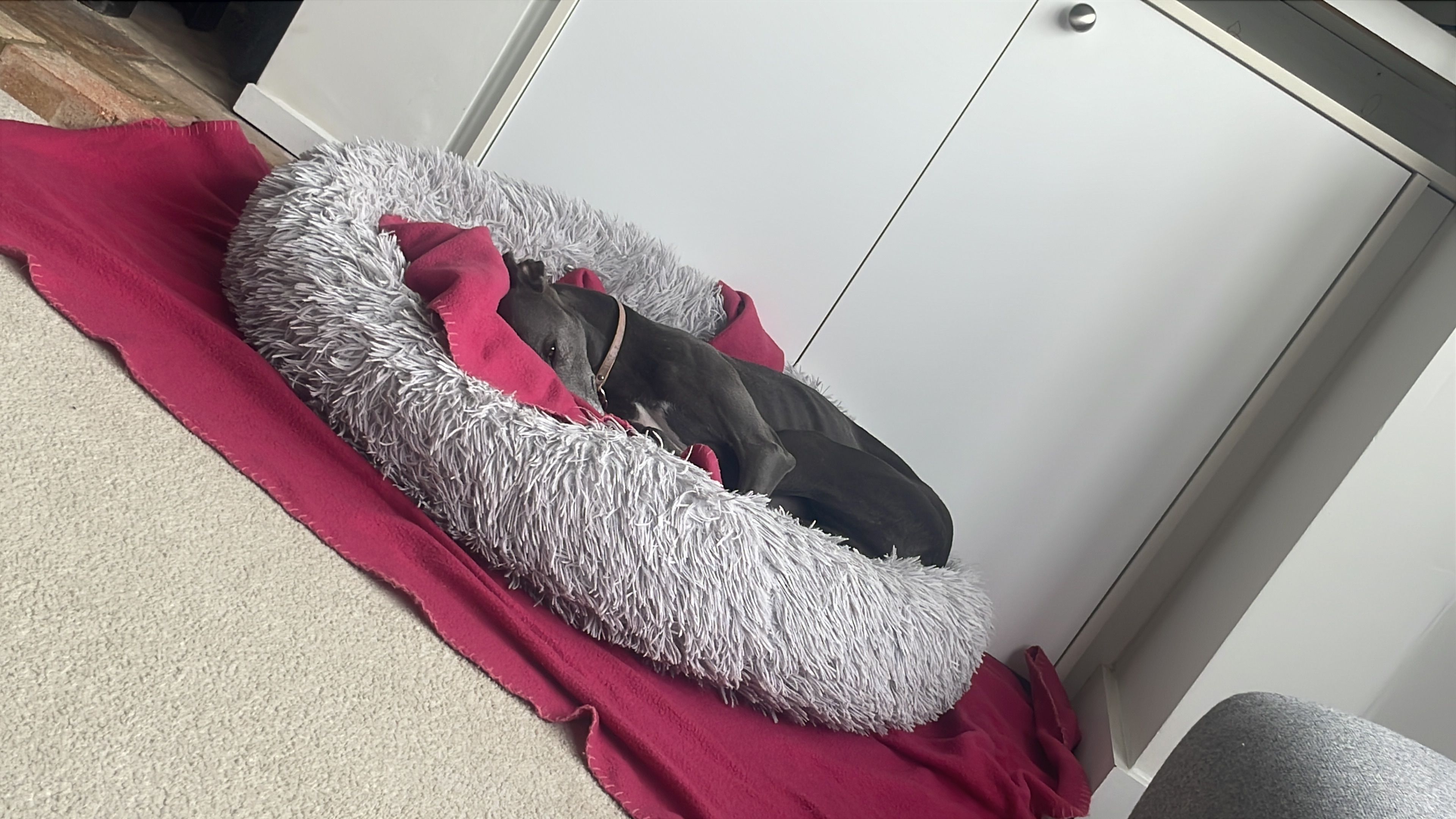 image-4