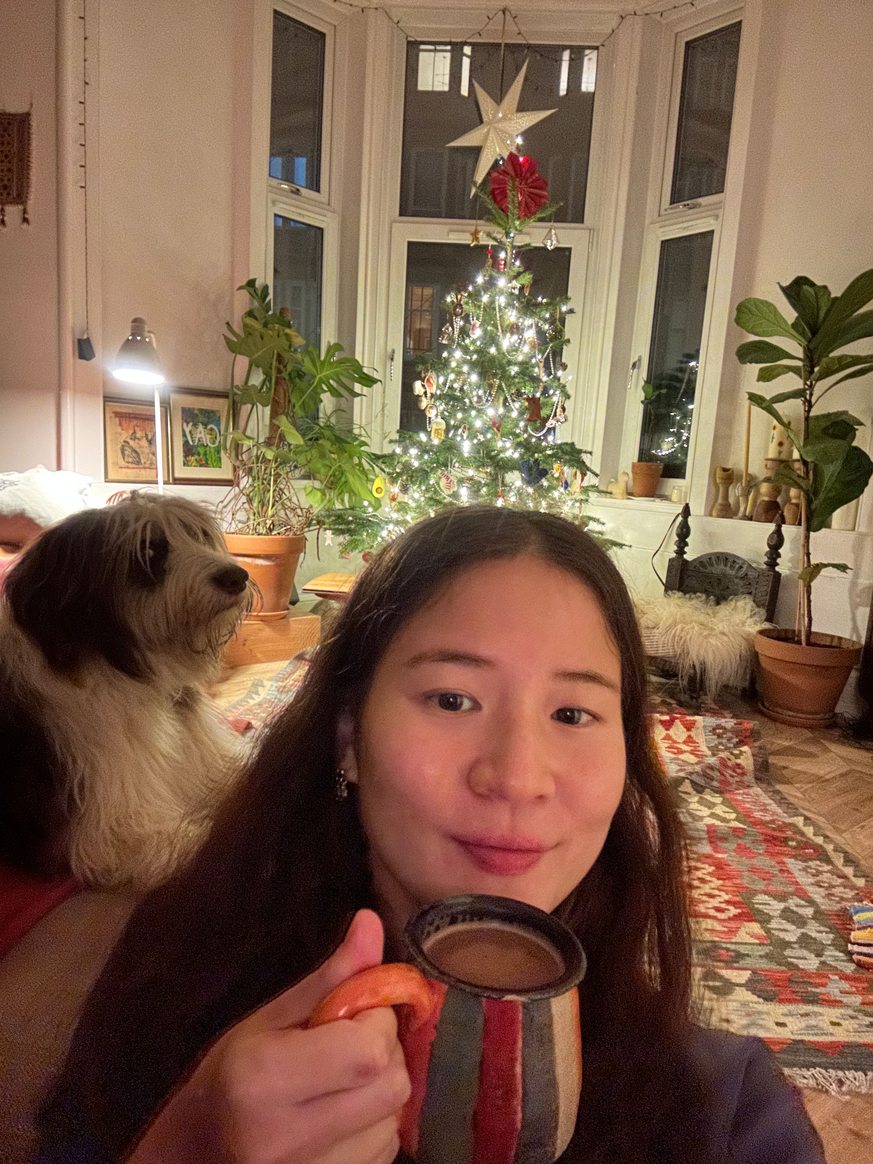 image-6