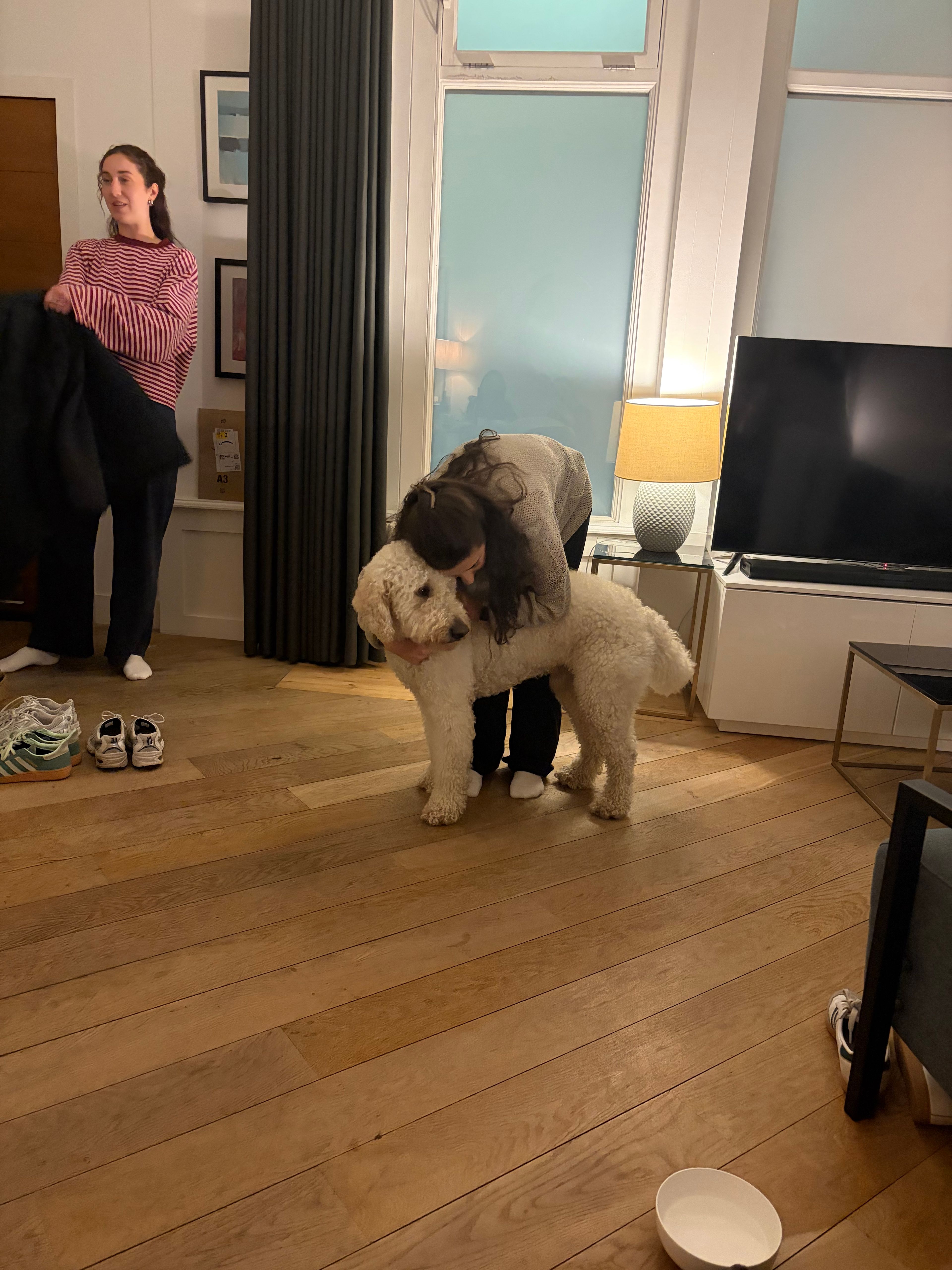image-7