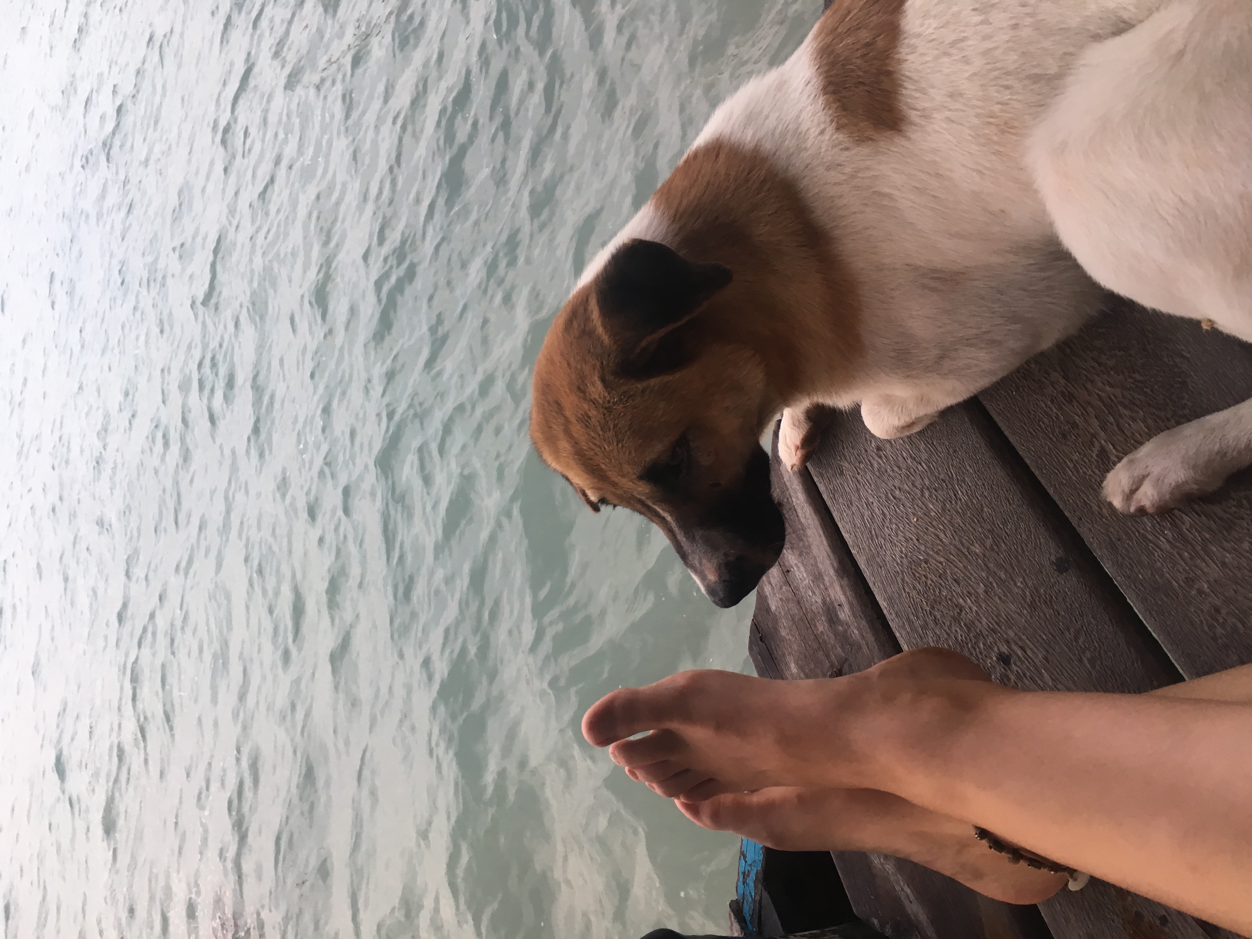 image-7