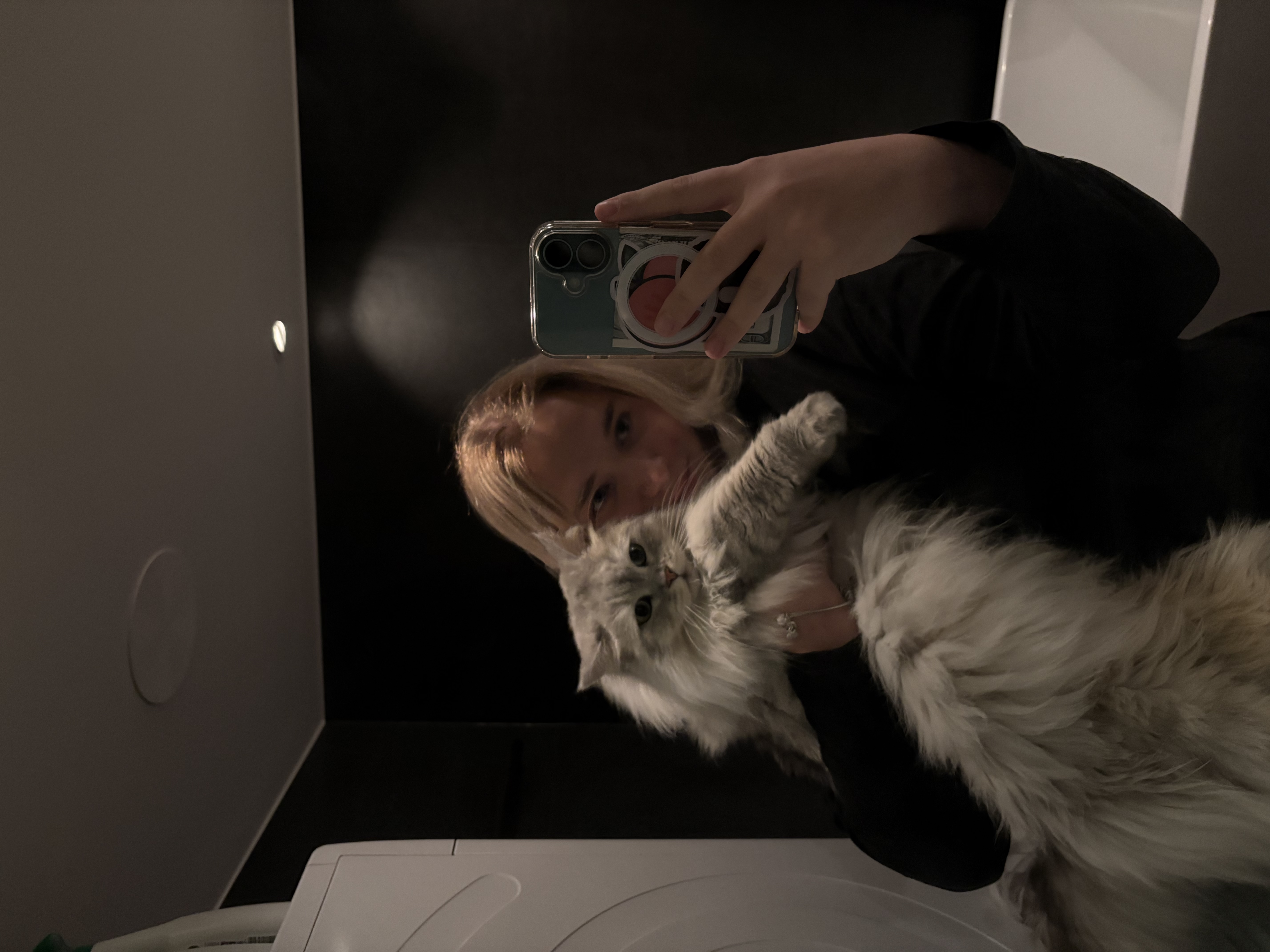 image-8