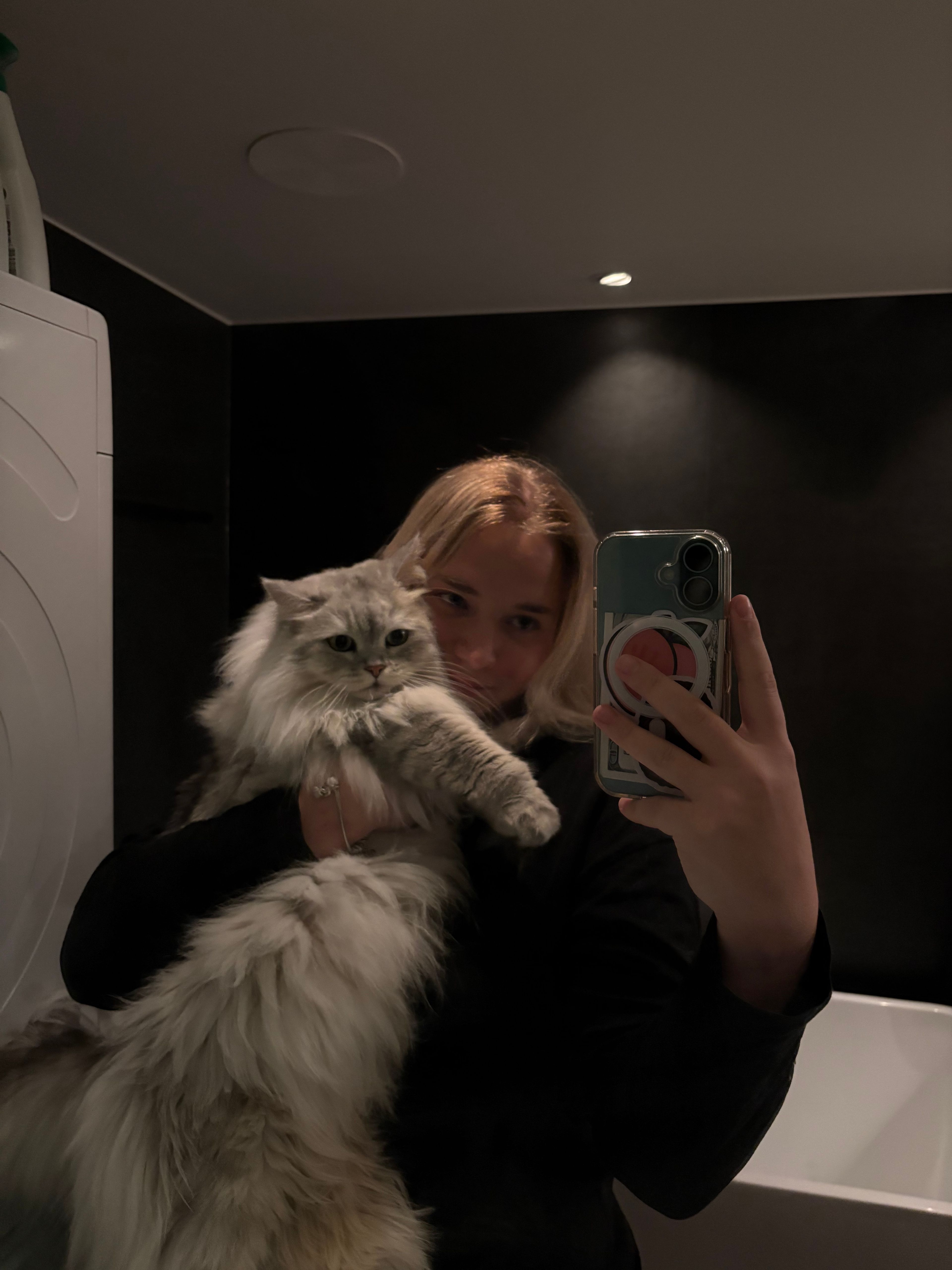 image-8