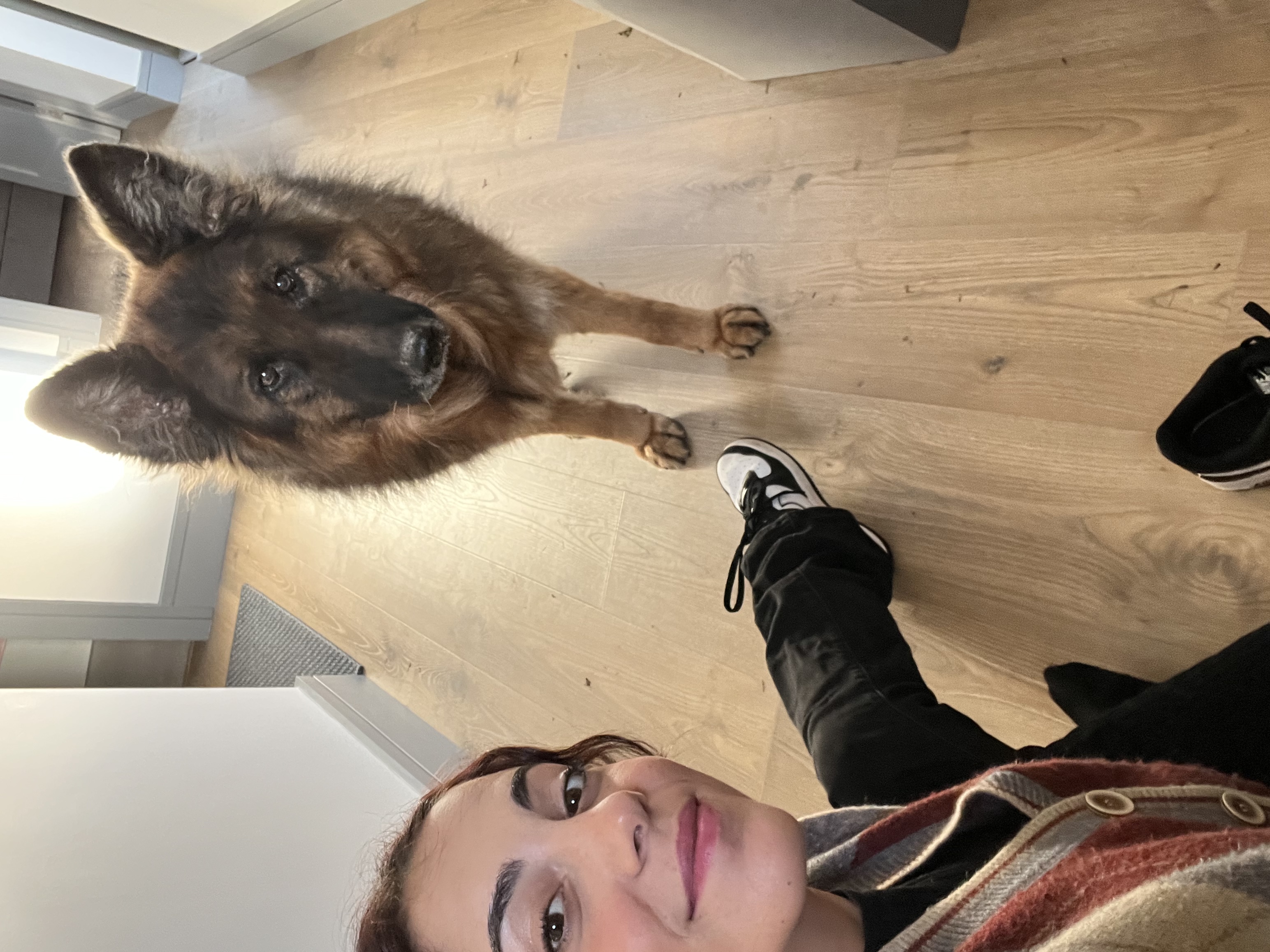 image-8