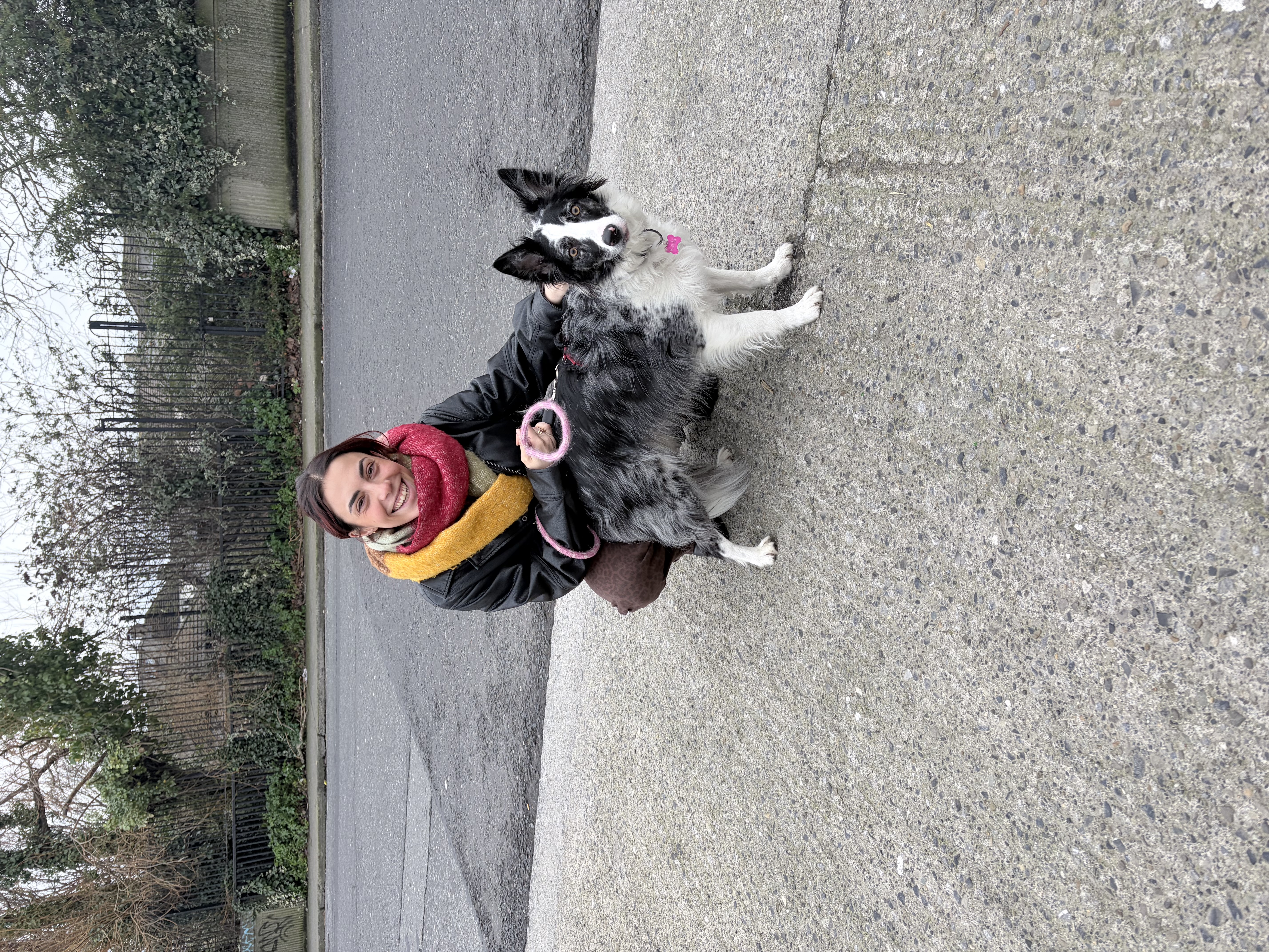 image-6