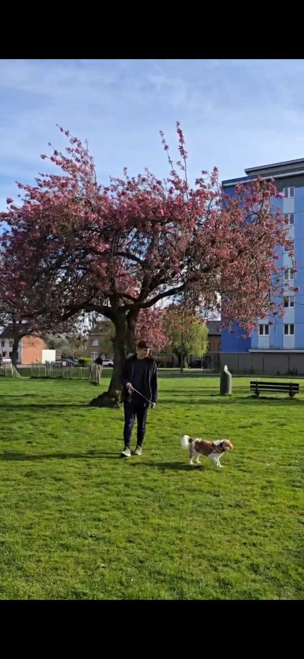 image-17