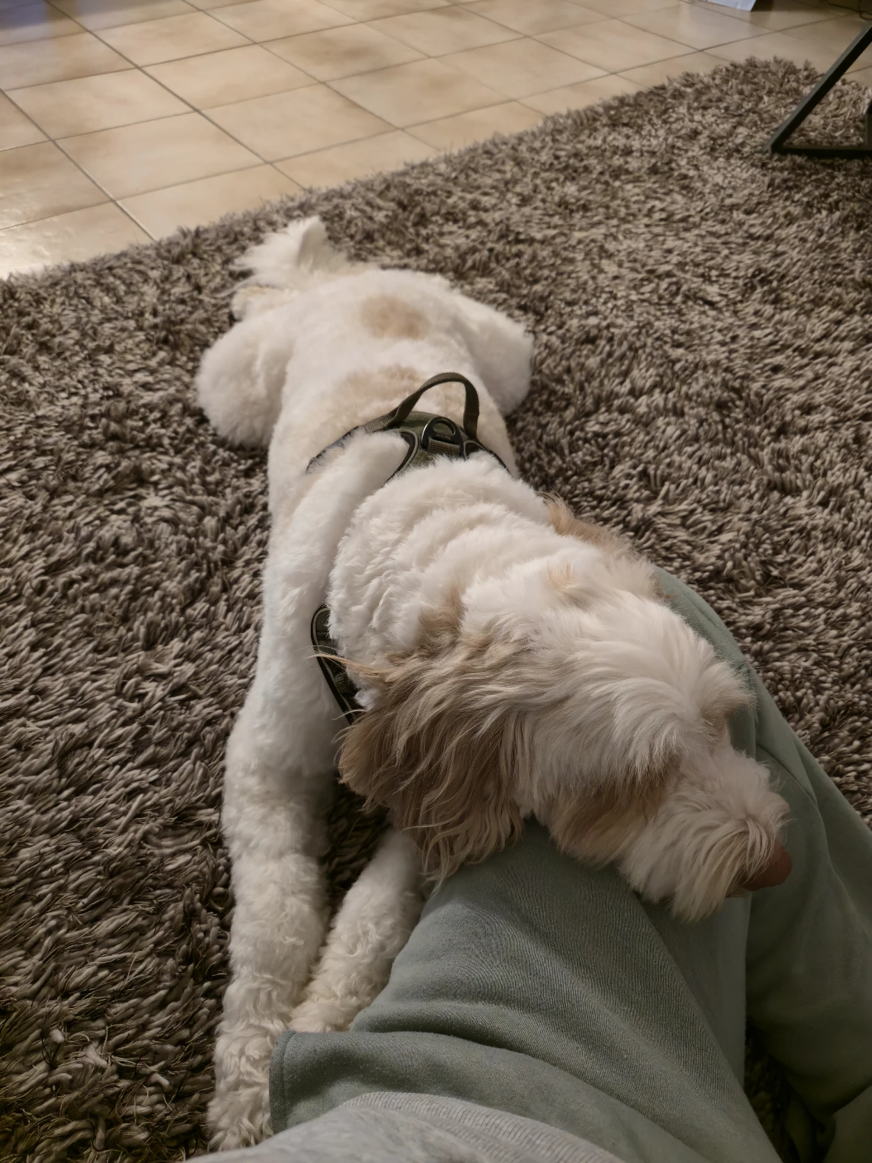 image-26