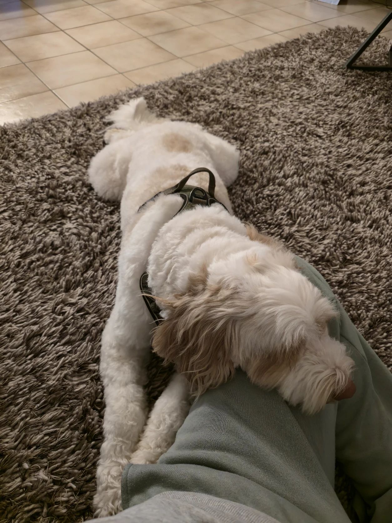 image-26