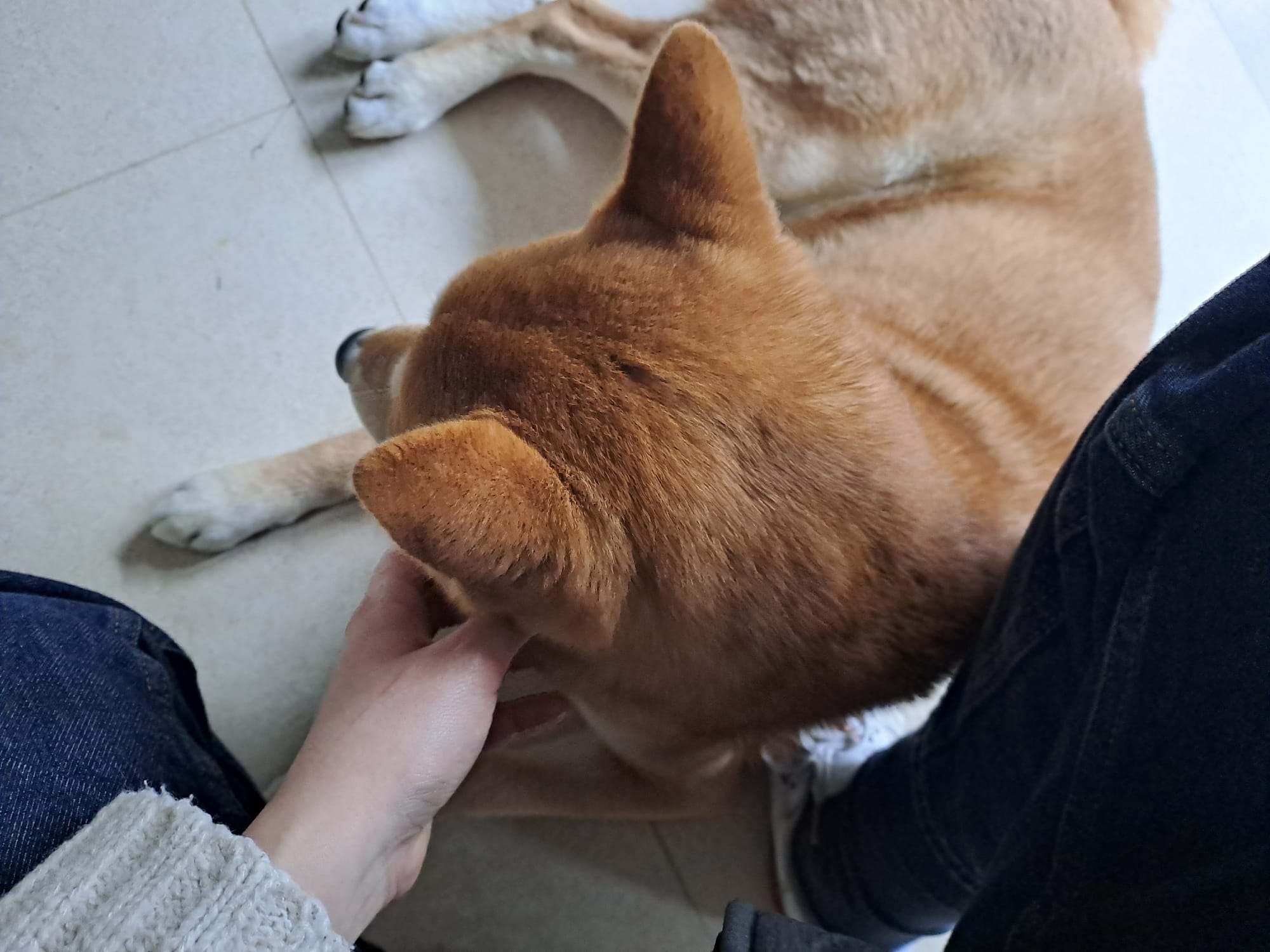 image-16