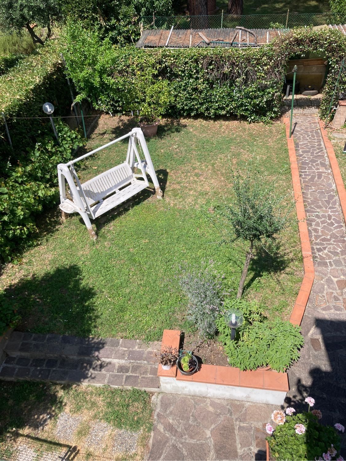 image-3