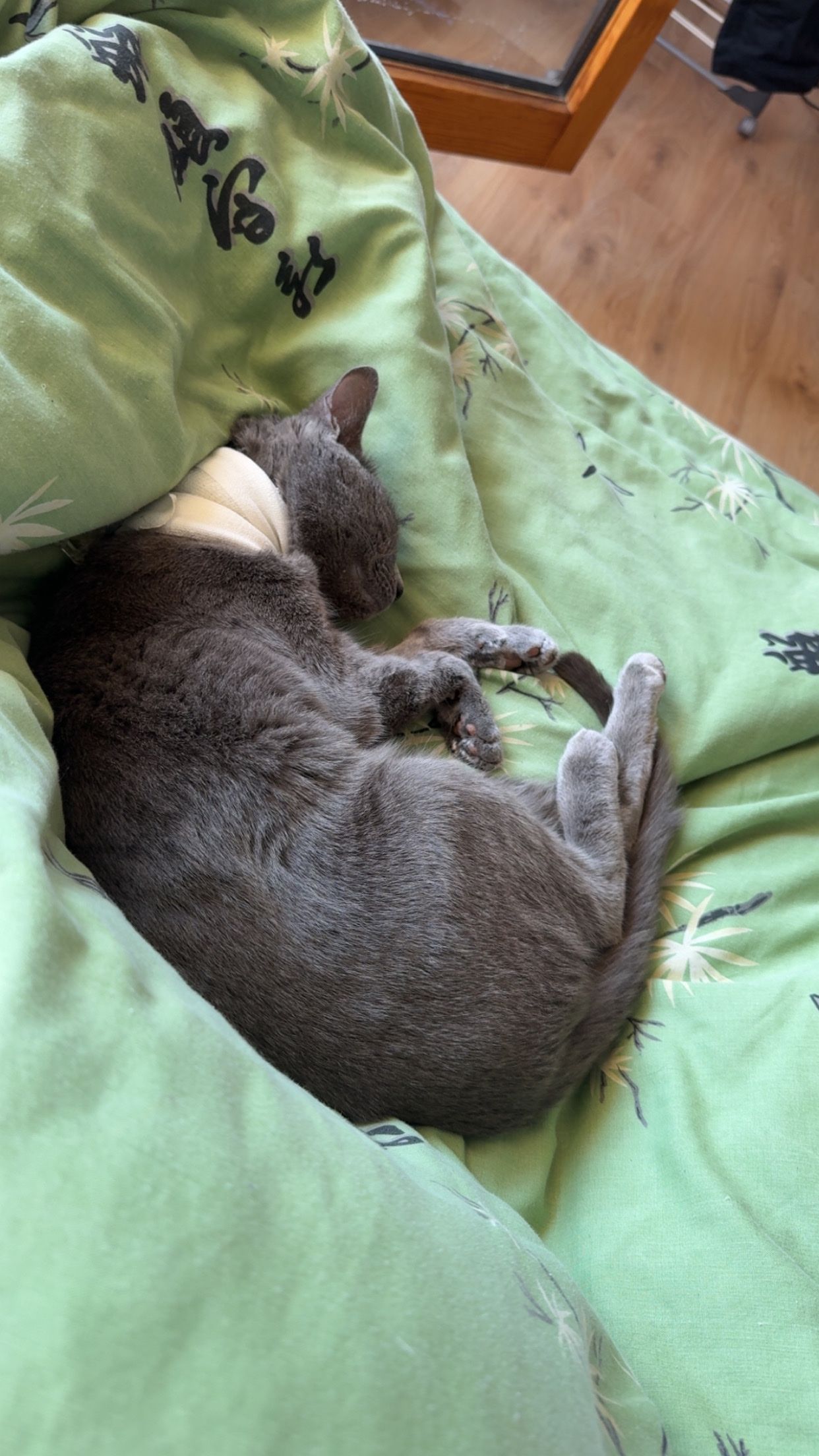 image-11