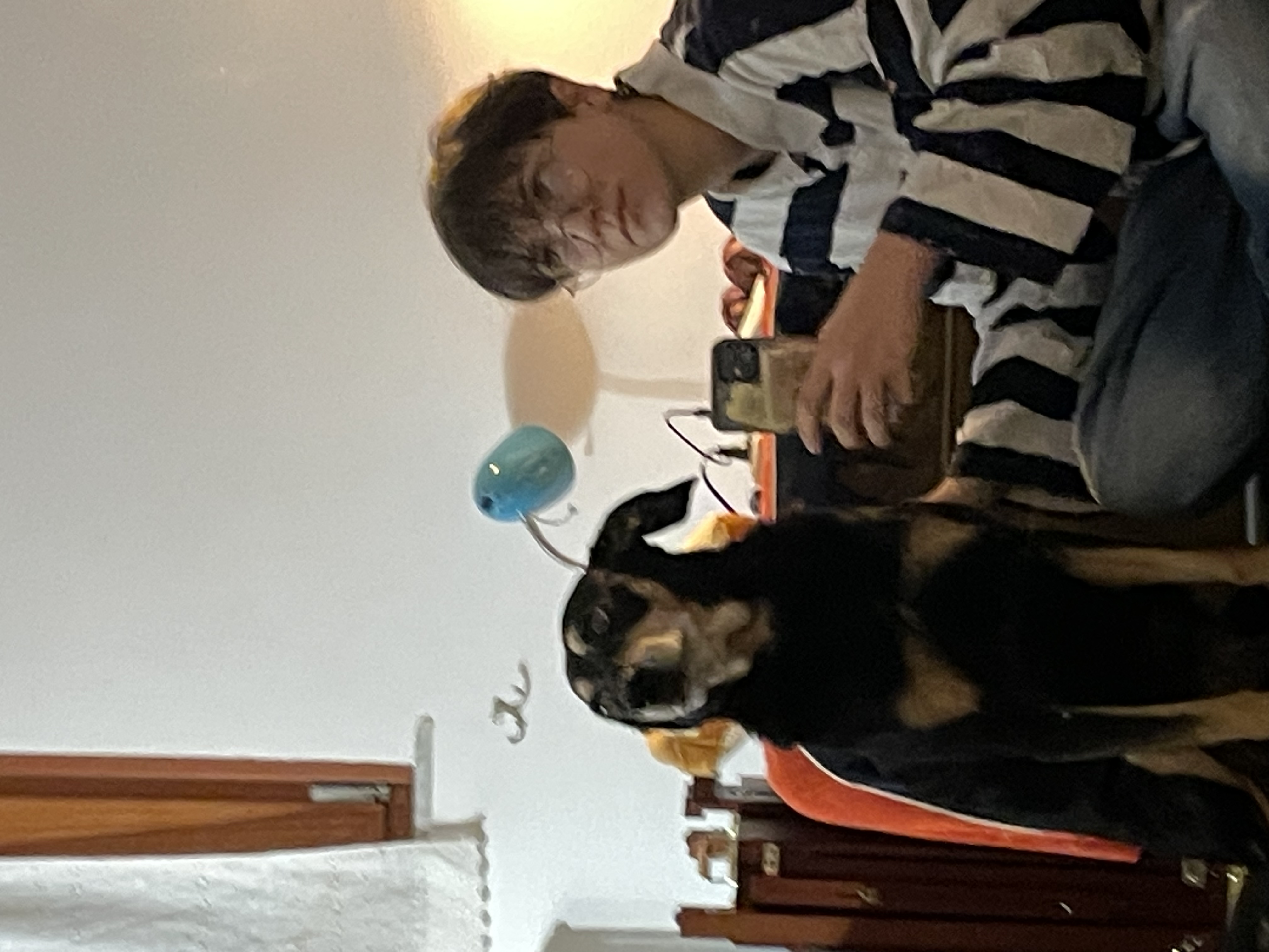 image-1