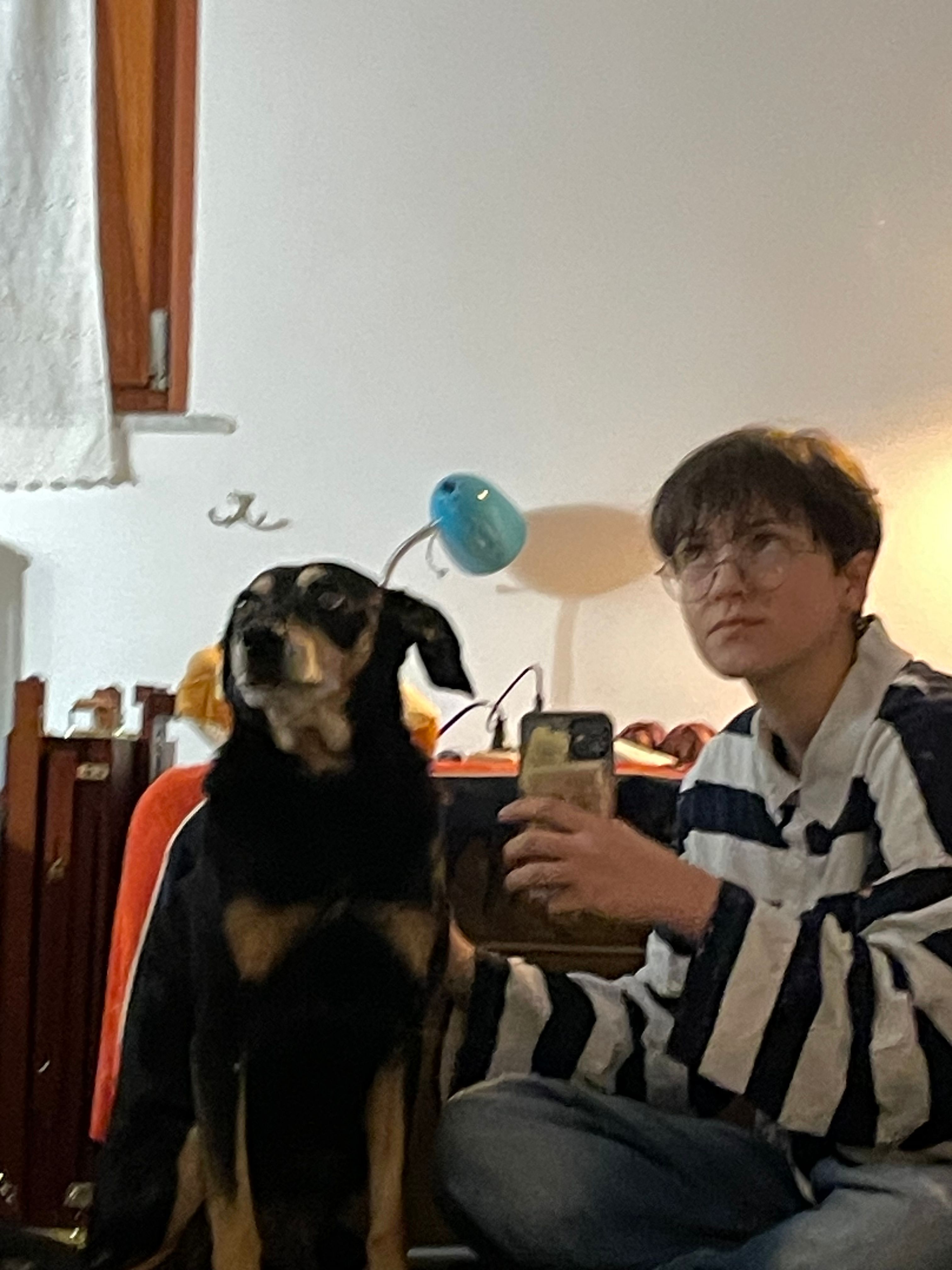 image-1