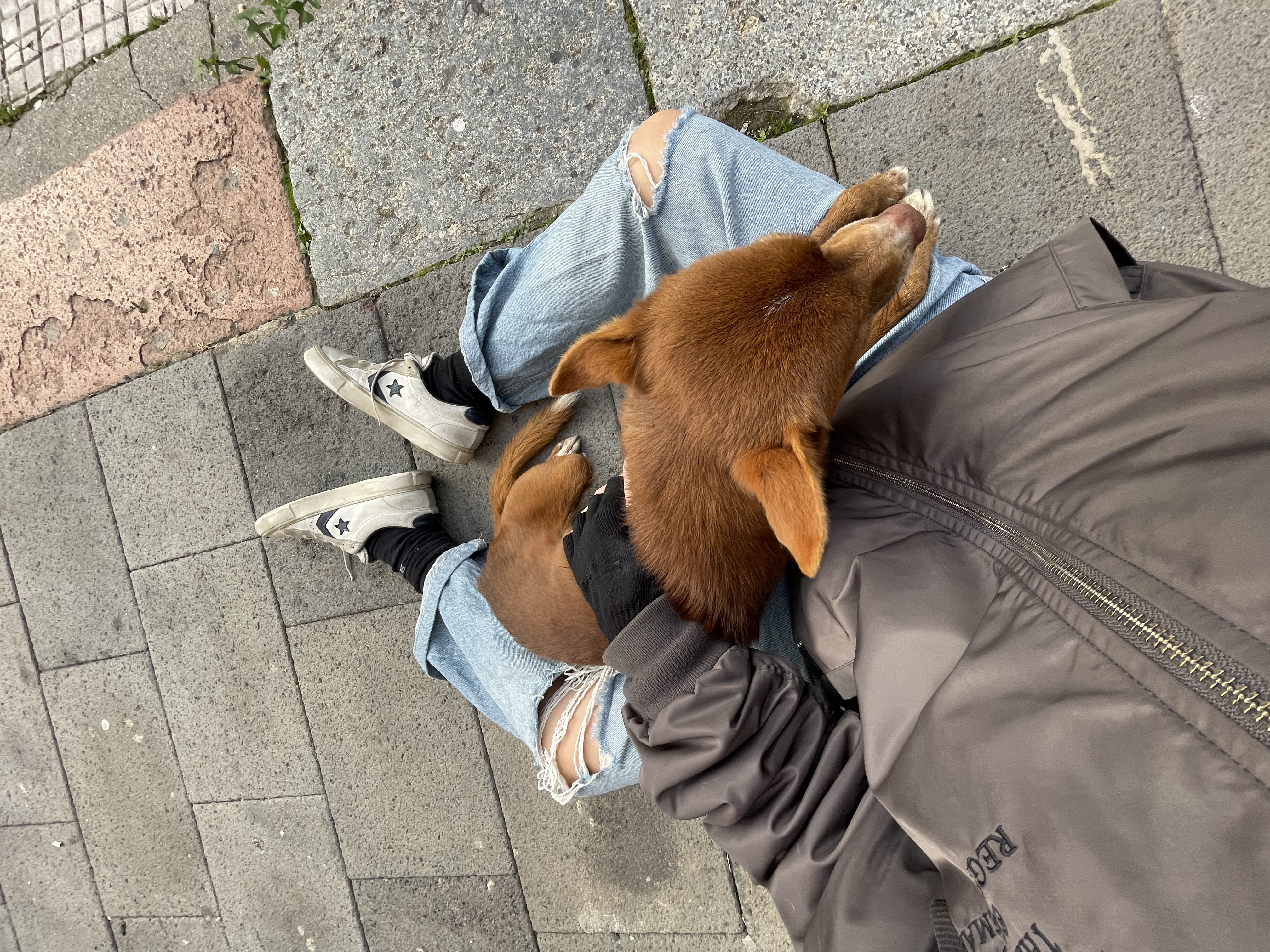image-7