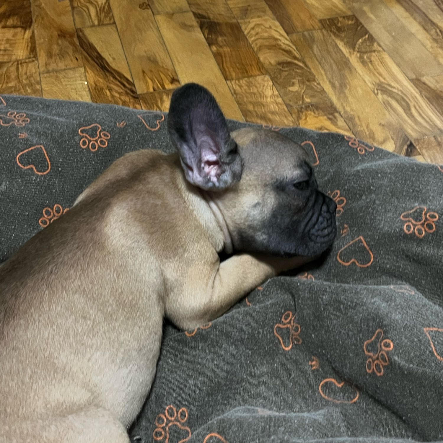 Oliver