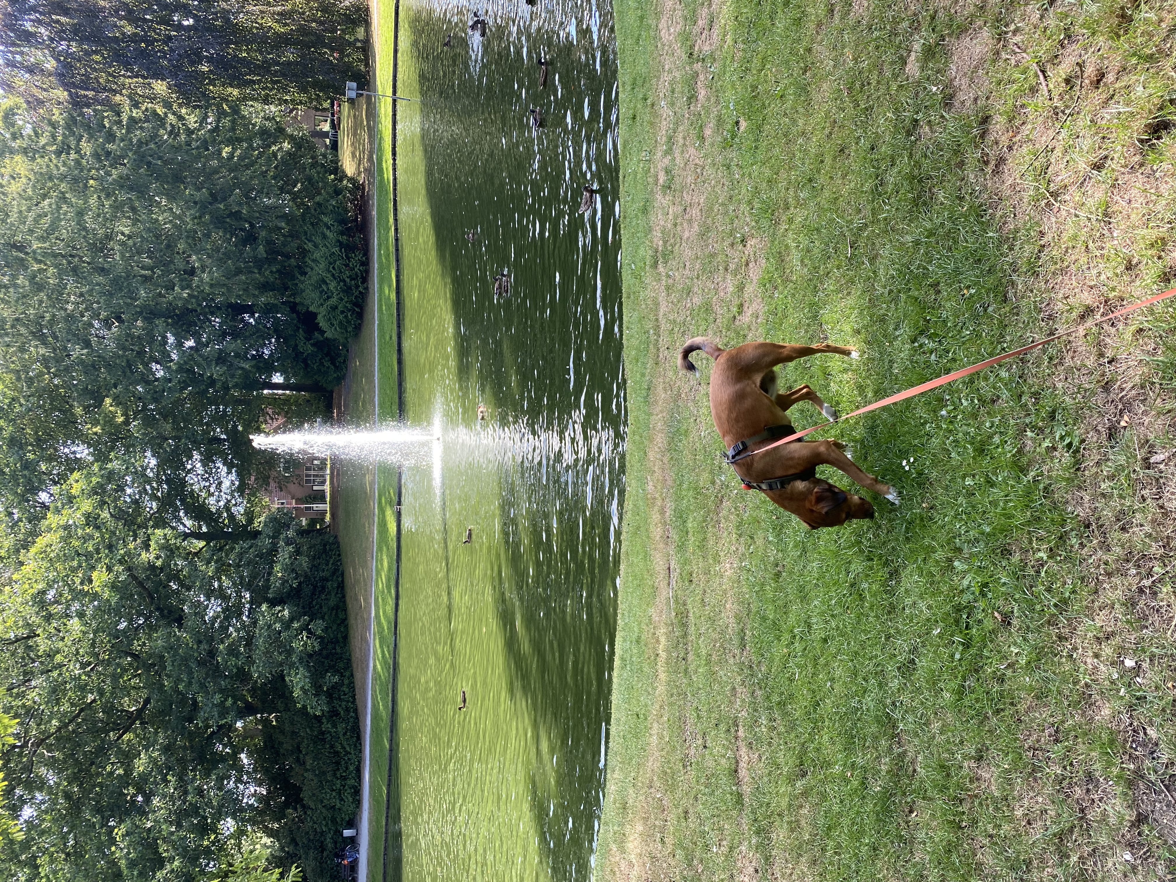 image-13