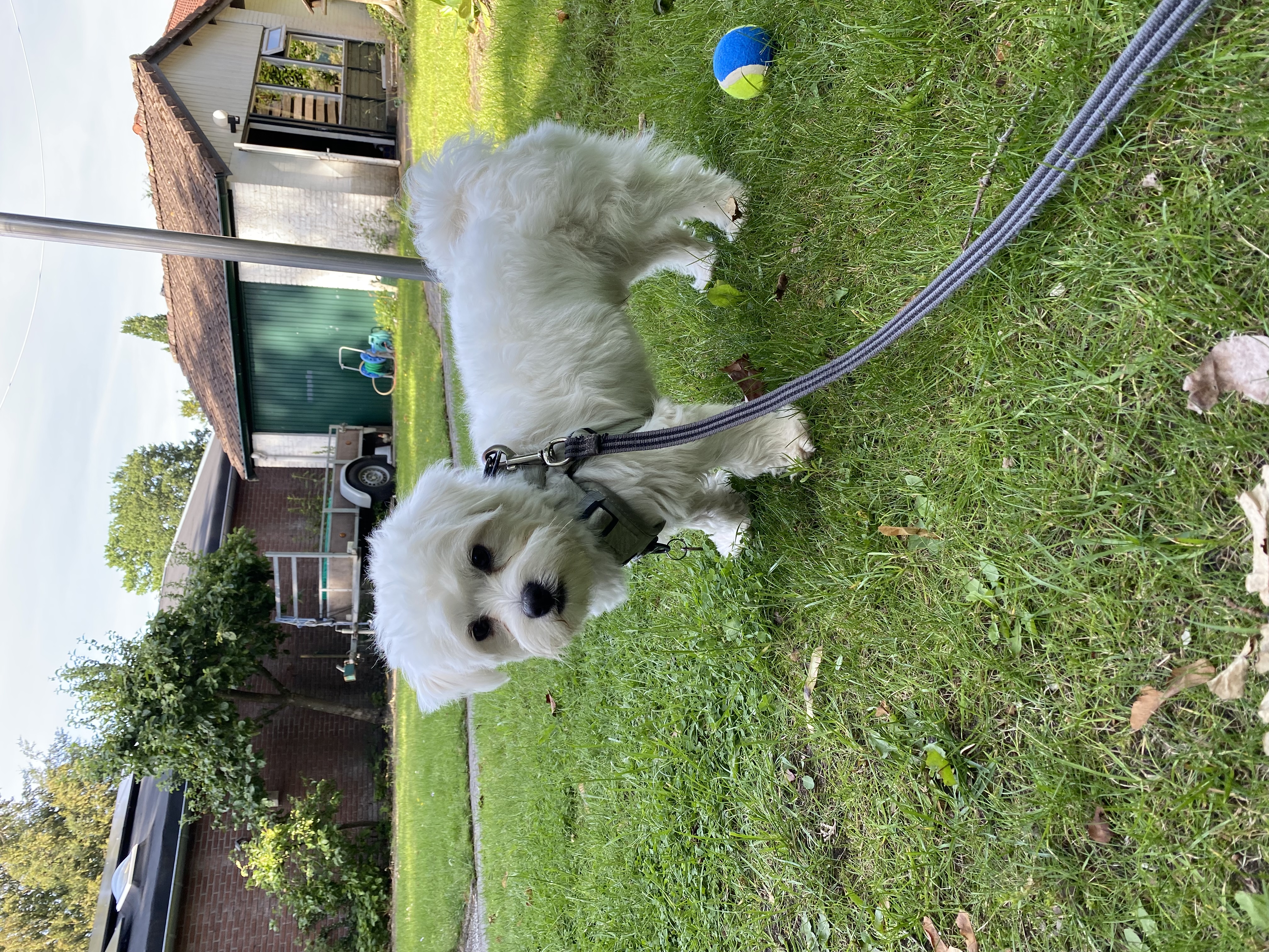 image-11