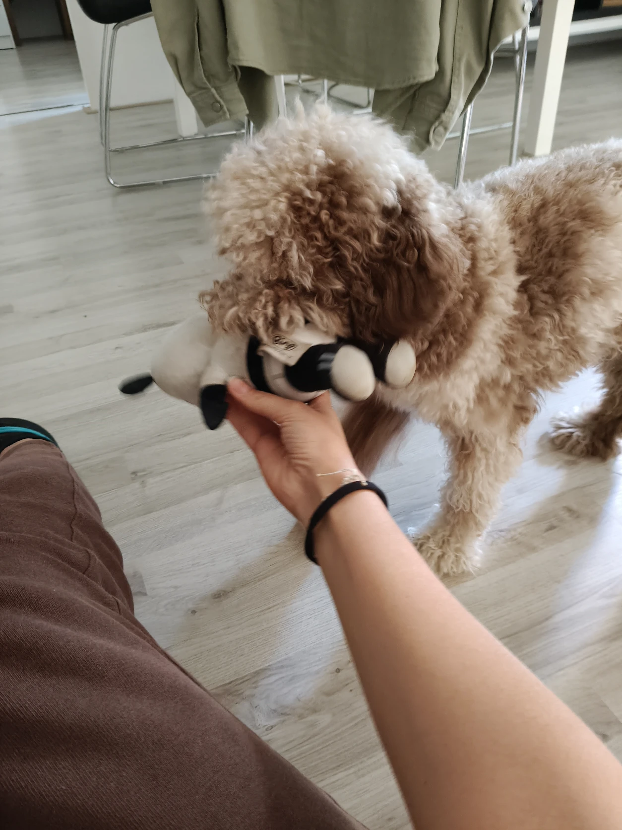 image-18