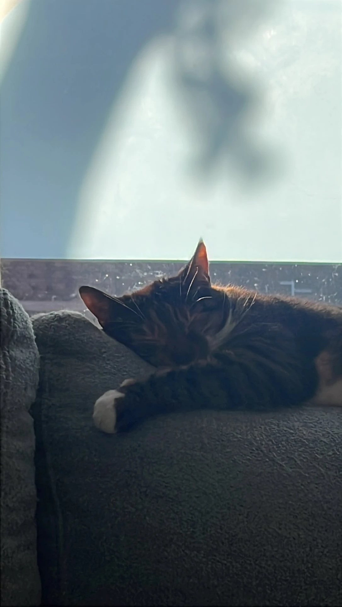 image-13