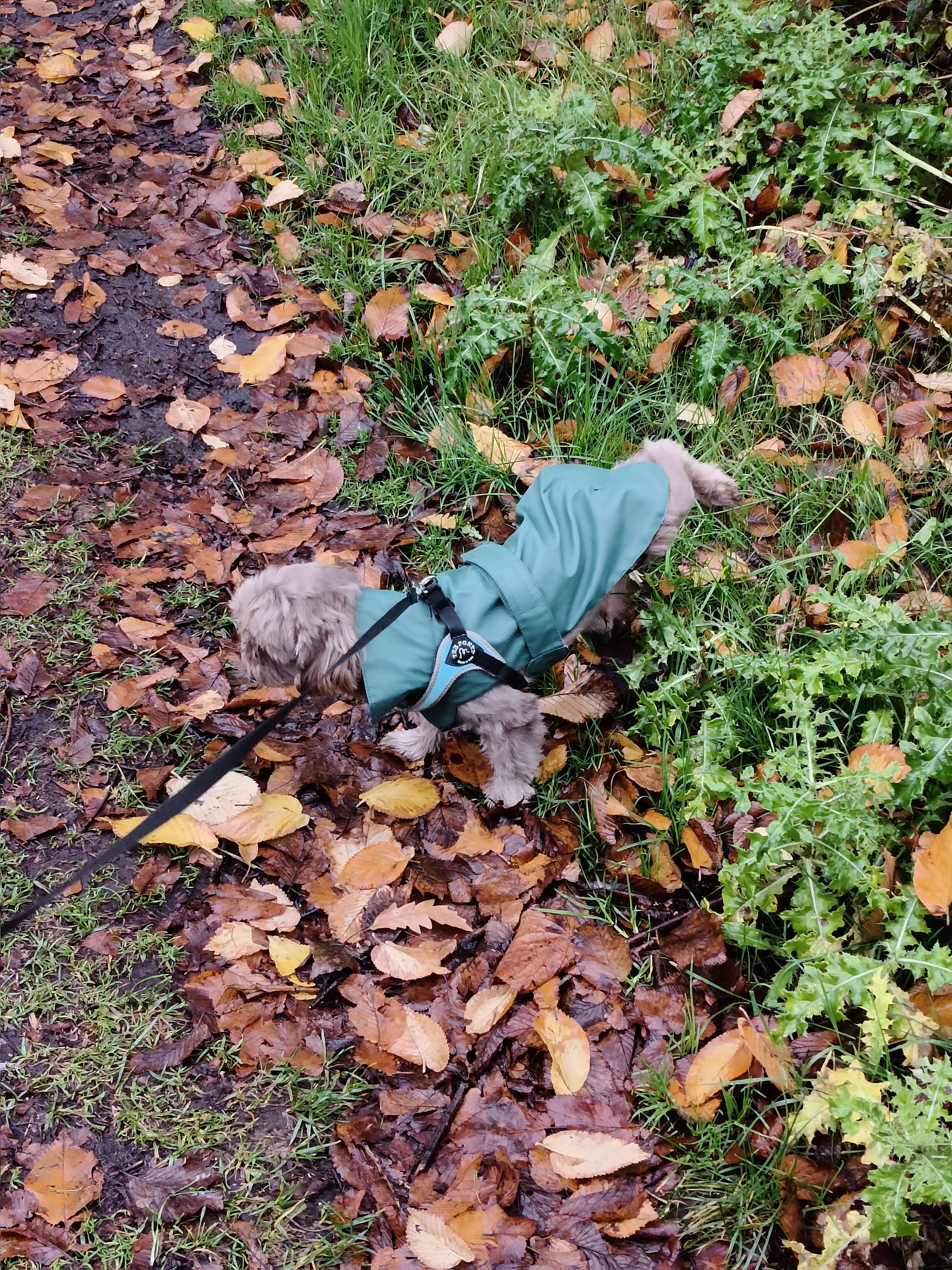 image-5