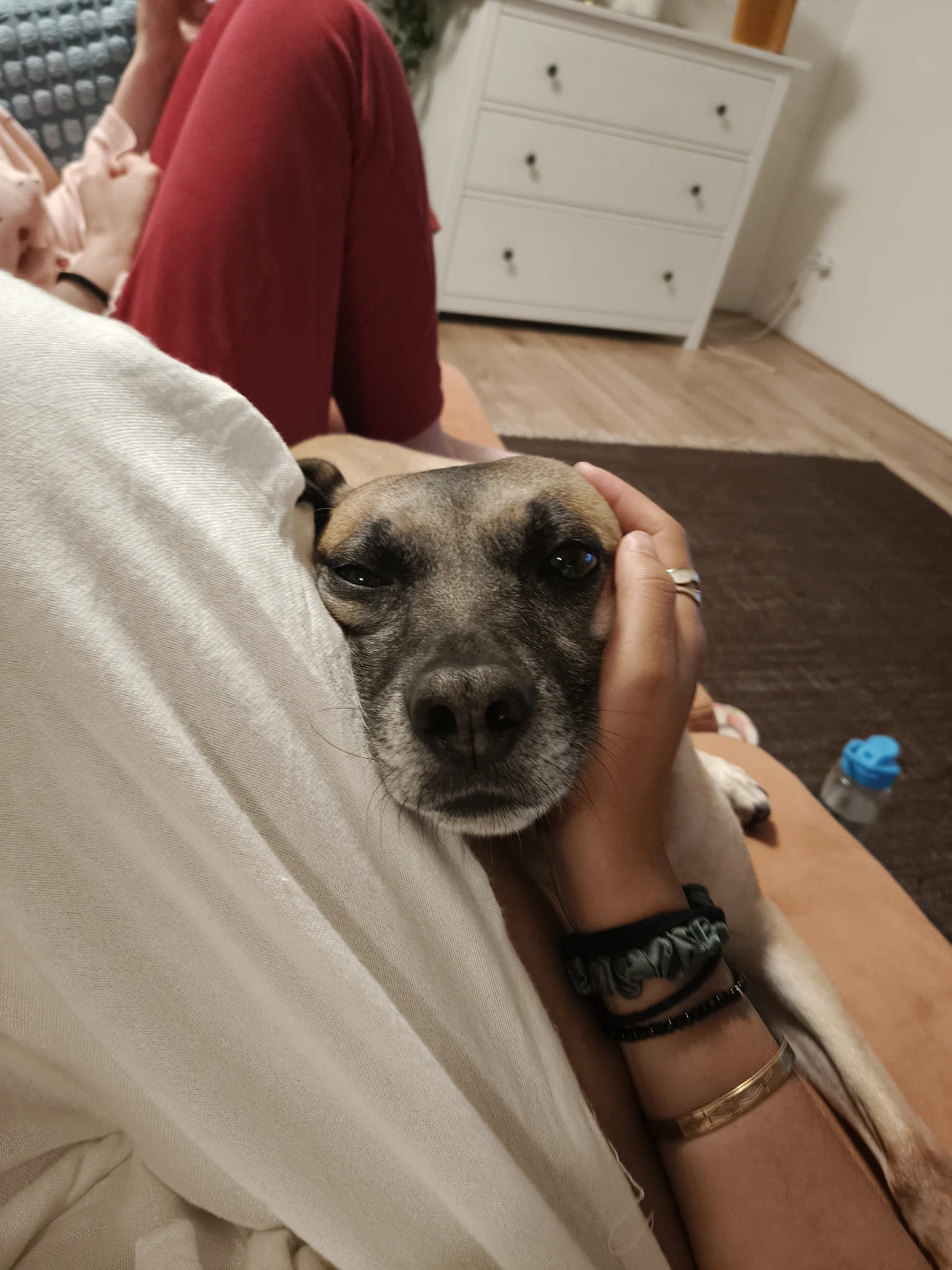 image-9