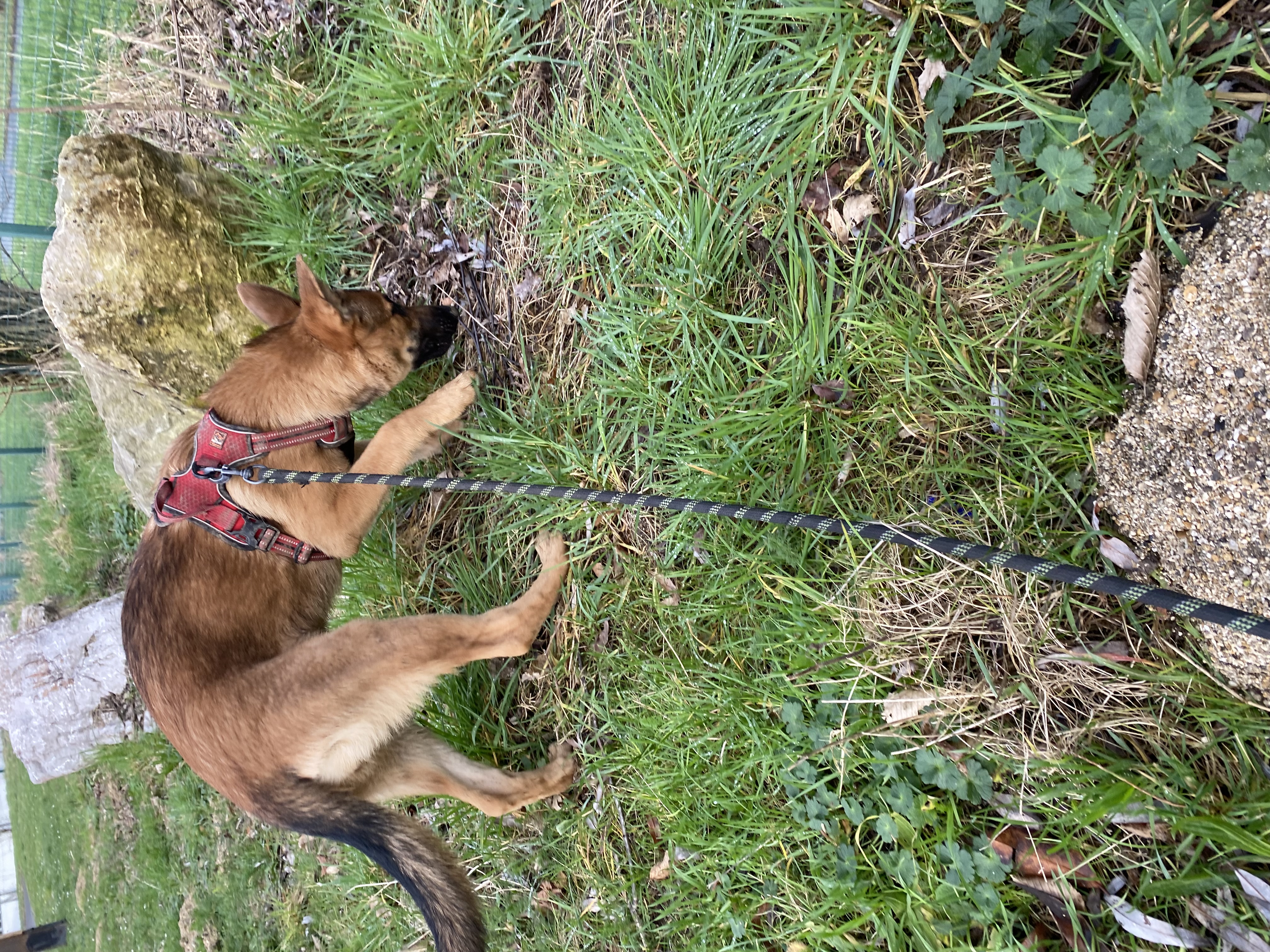 image-9