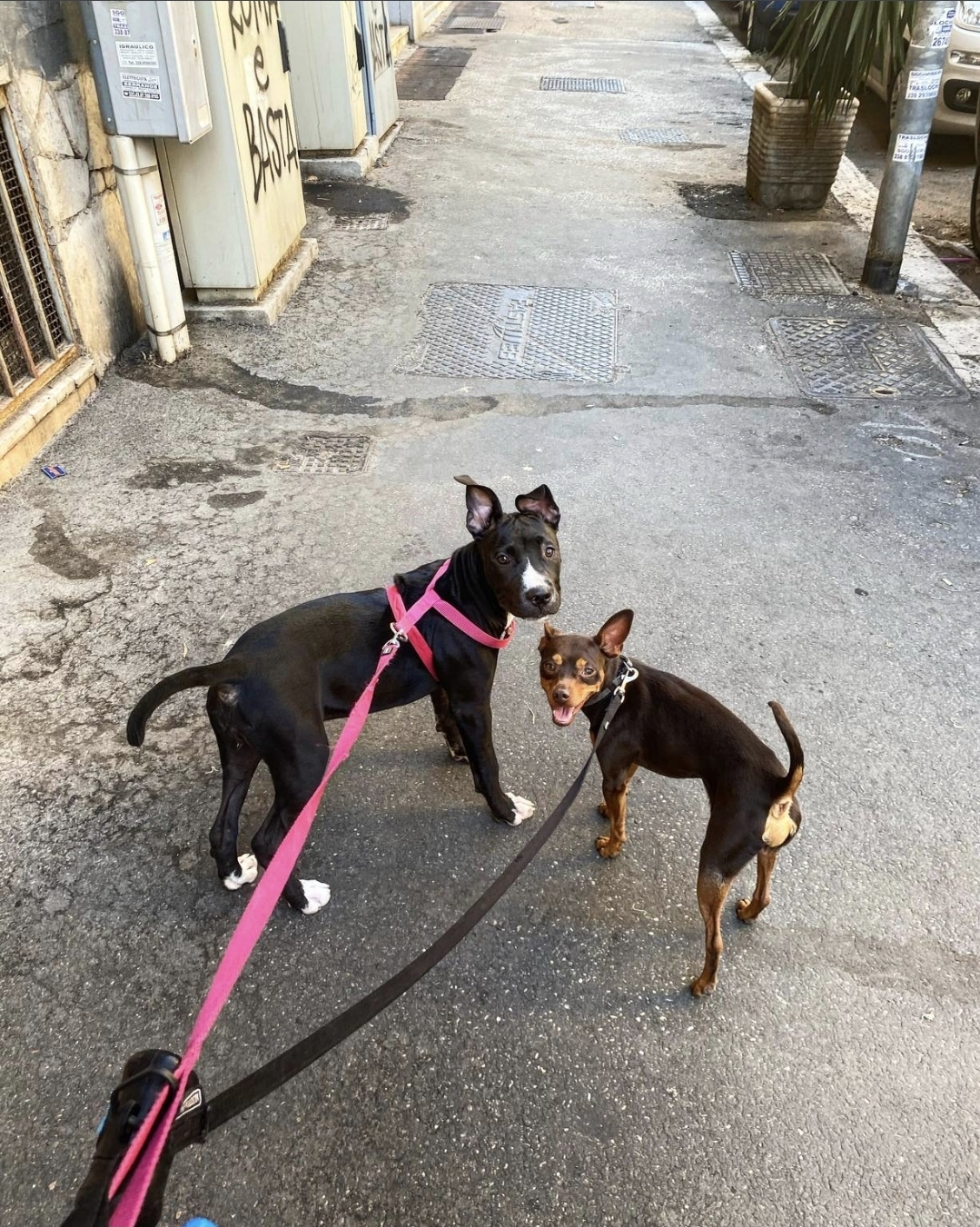image-5
