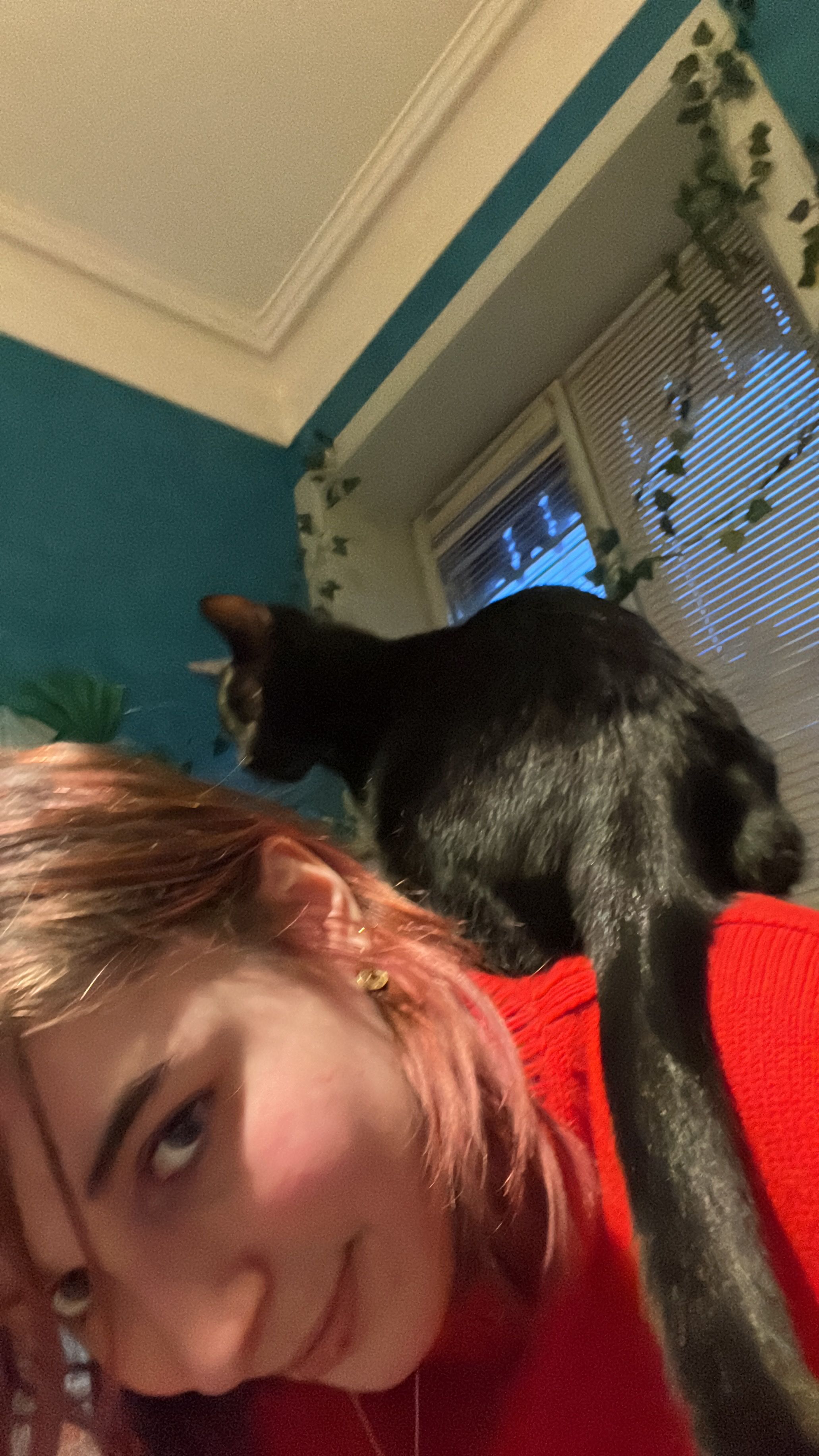 image-6